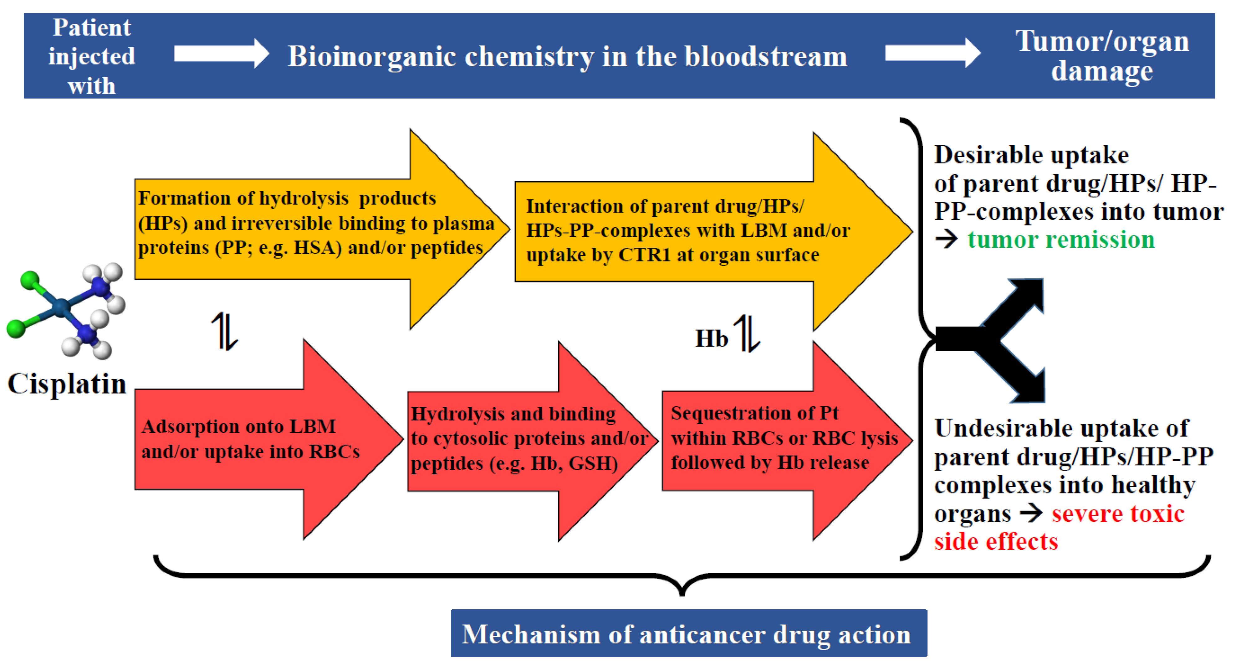 Inorganics 10 00200 g004