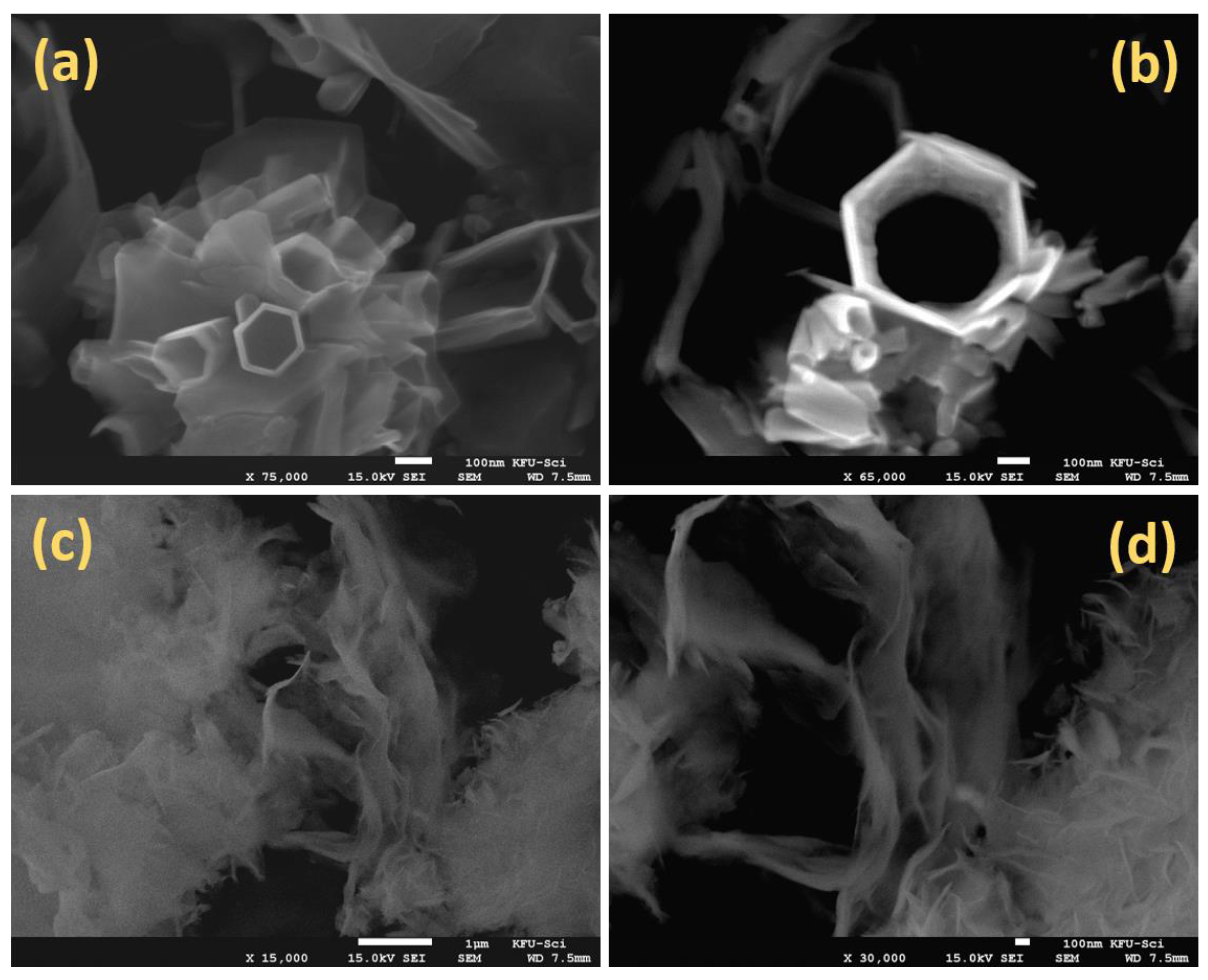 Inorganics 10 00204 g005