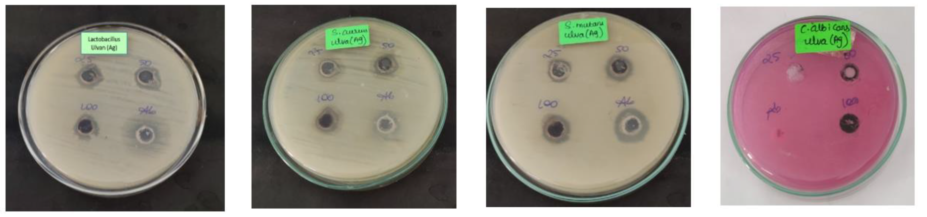 Inorganics 11 00005 g007