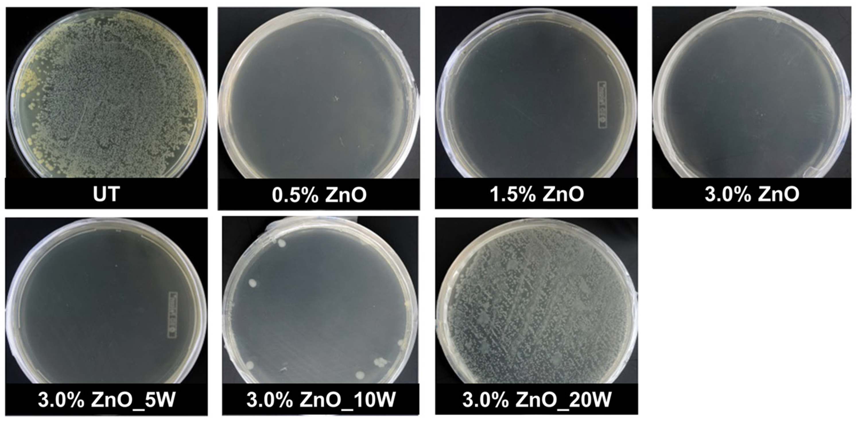 Inorganics 11 00019 g012