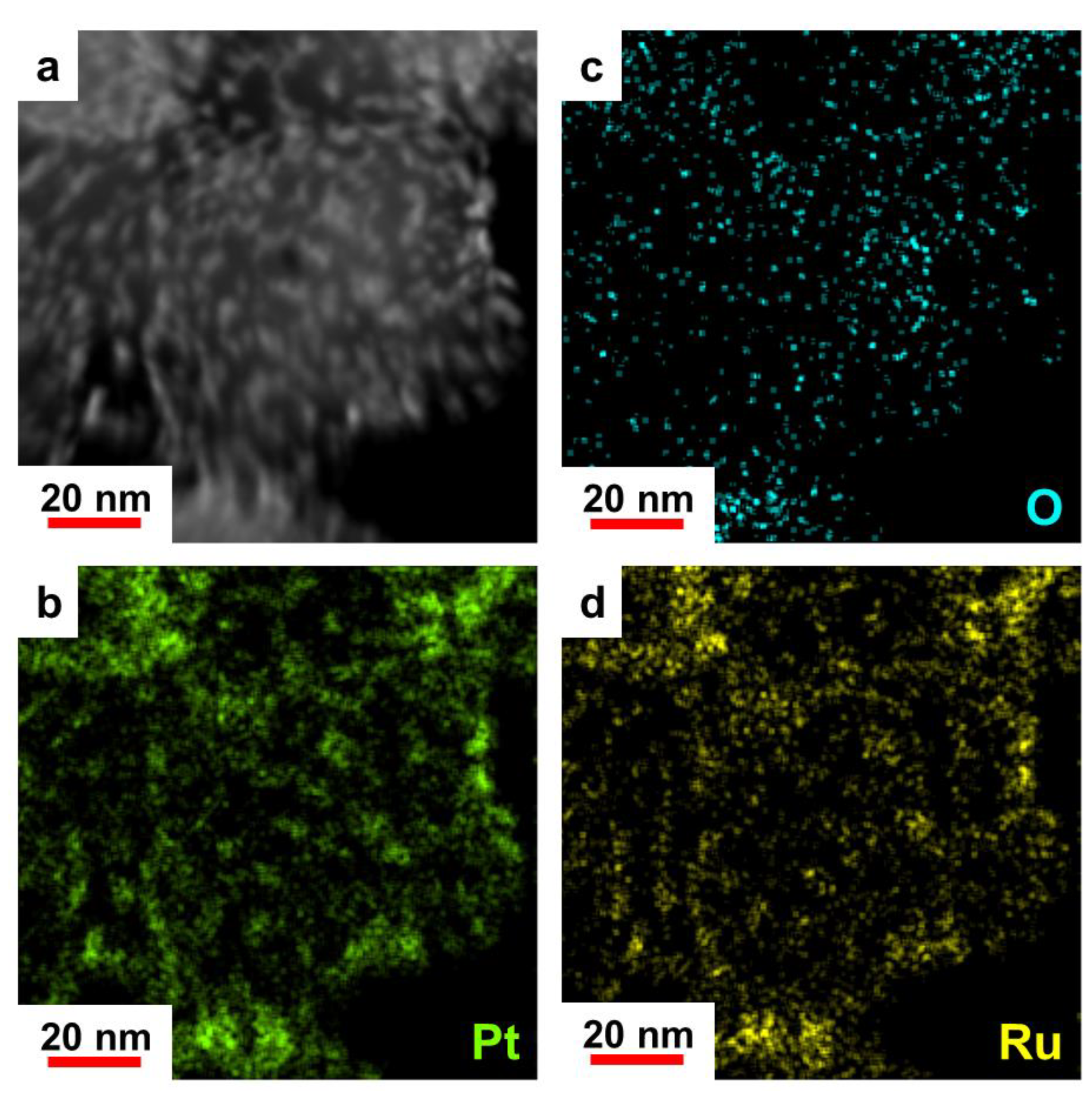 Inorganics 11 00028 g003