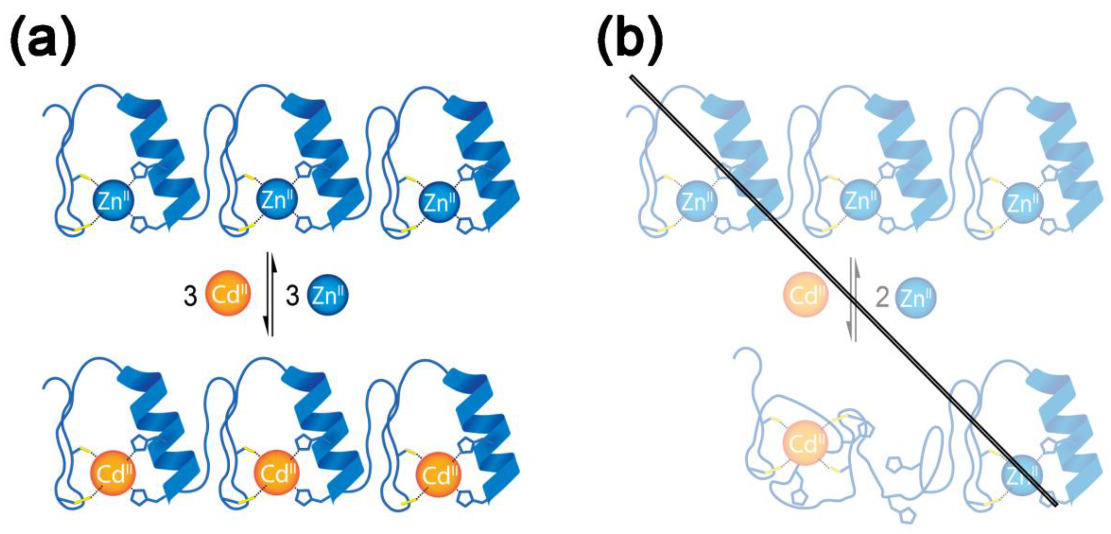 Inorganics 11 00064 sch001 Inorganics 11 00064 sch001