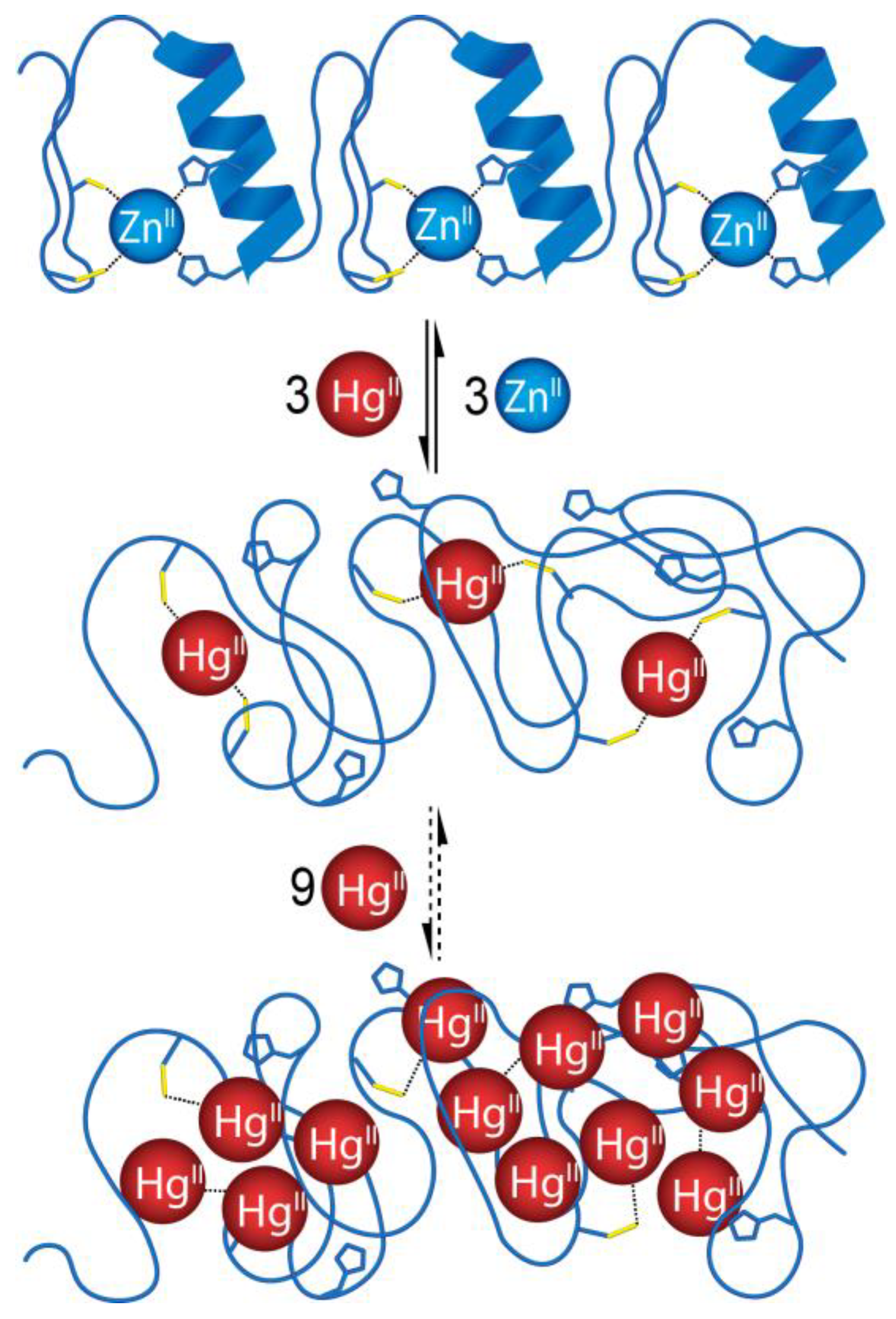 Inorganics 11 00064 sch002 Inorganics 11 00064 sch002