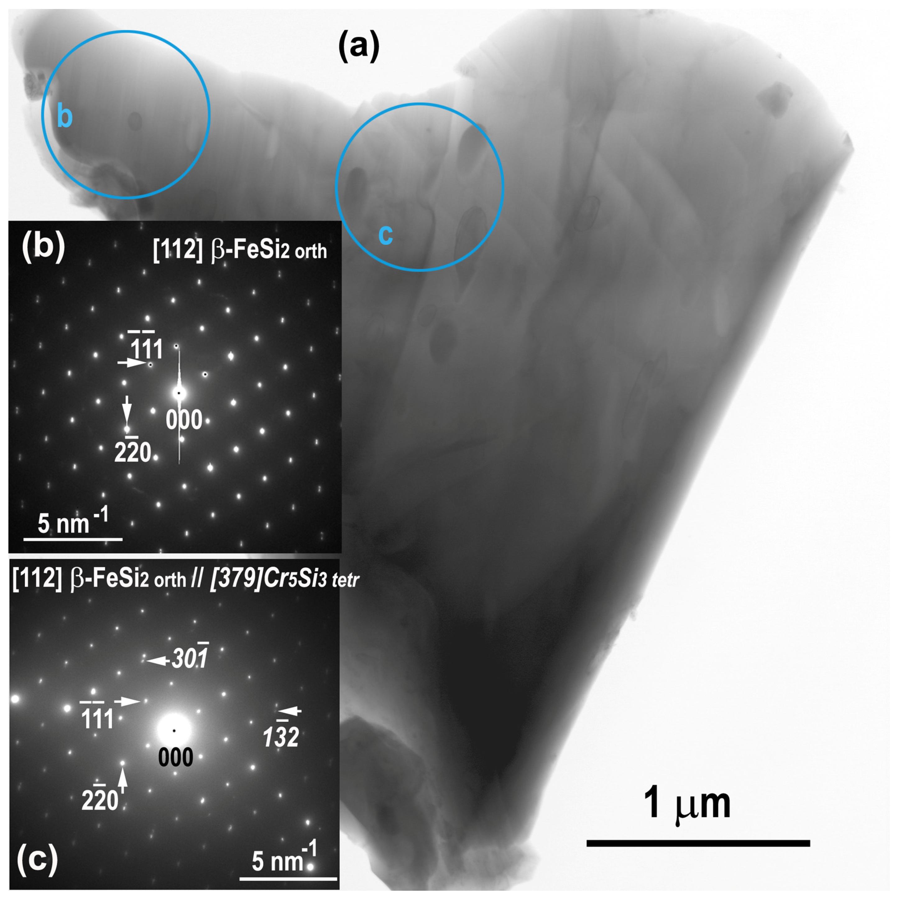 Inorganics 11 00073 g008