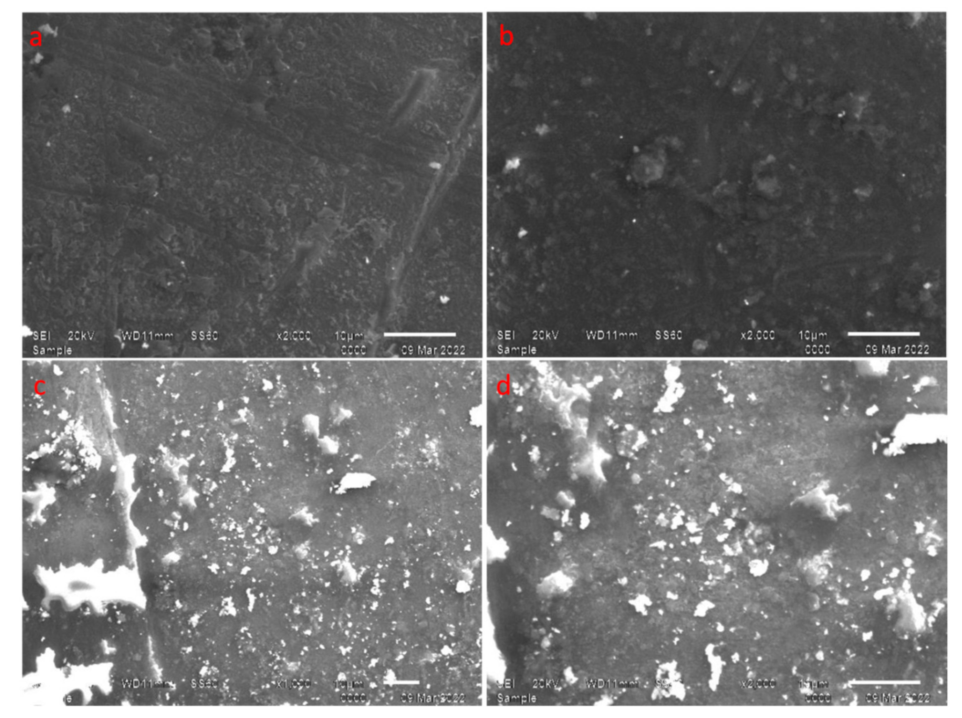 Inorganics 11 00074 g005