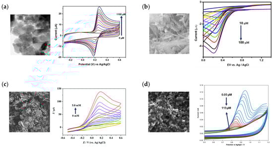 Inorganics 11 00081 g011