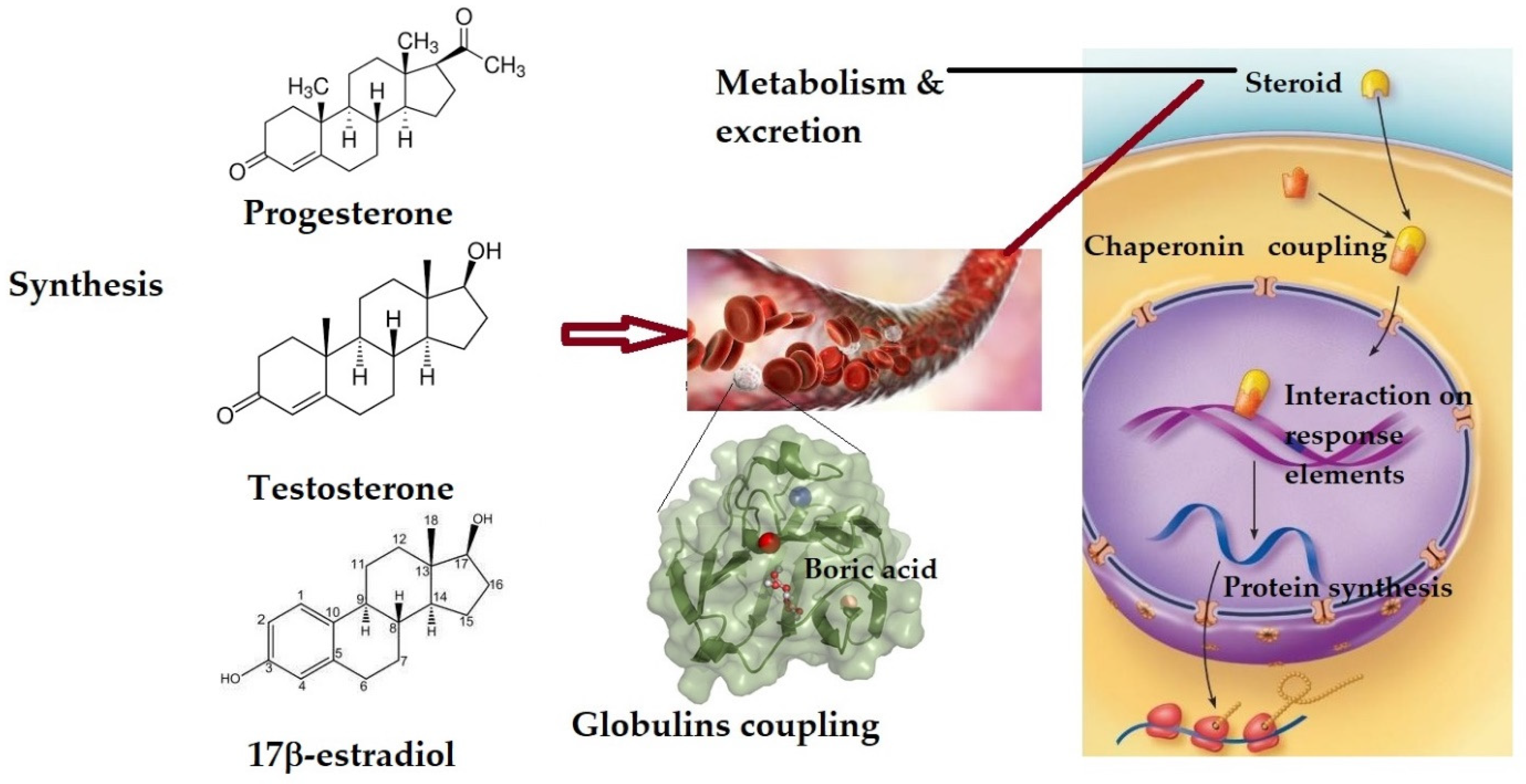 Inorganics 11 00084 g001