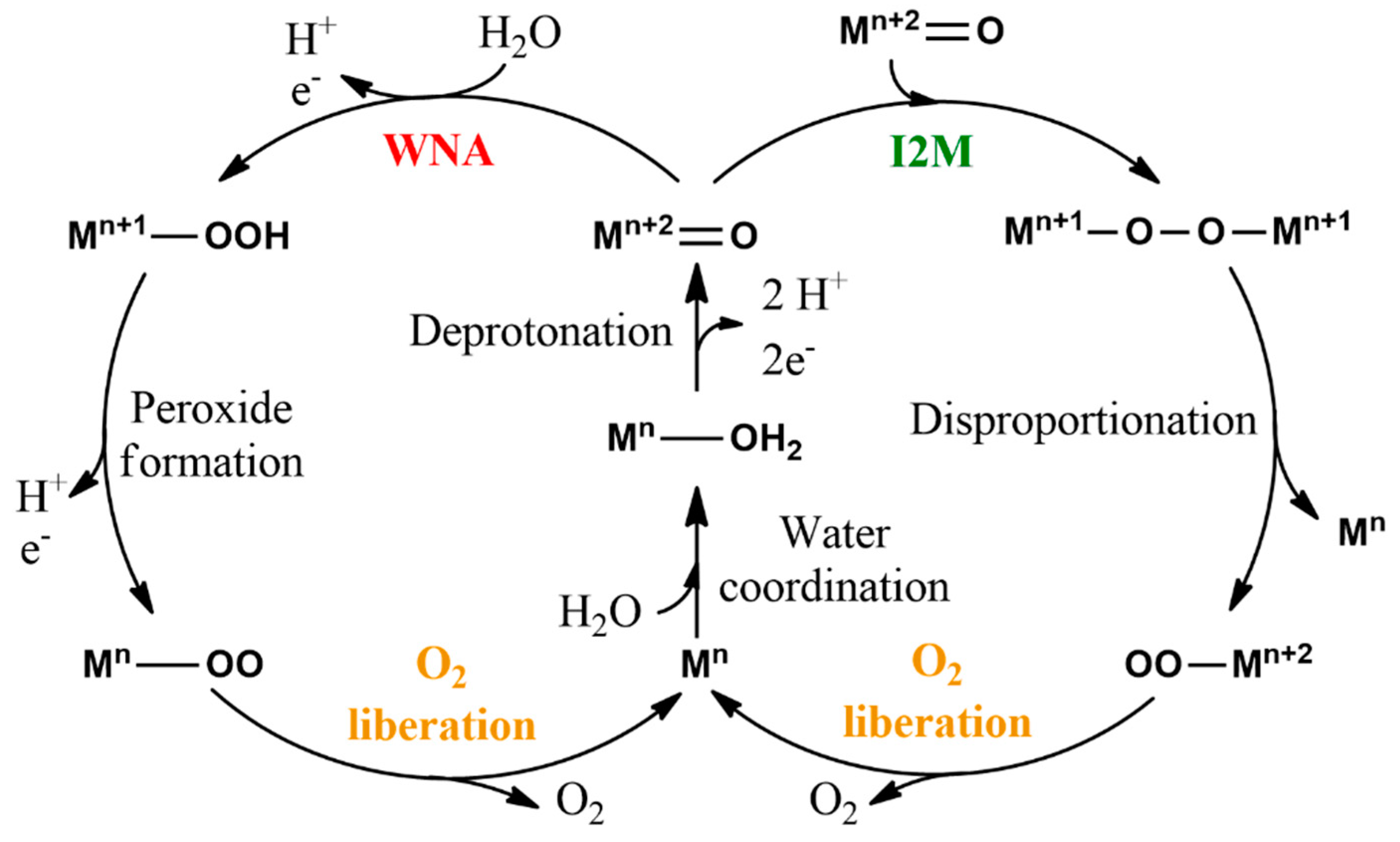 Inorganics 11 00088 g012