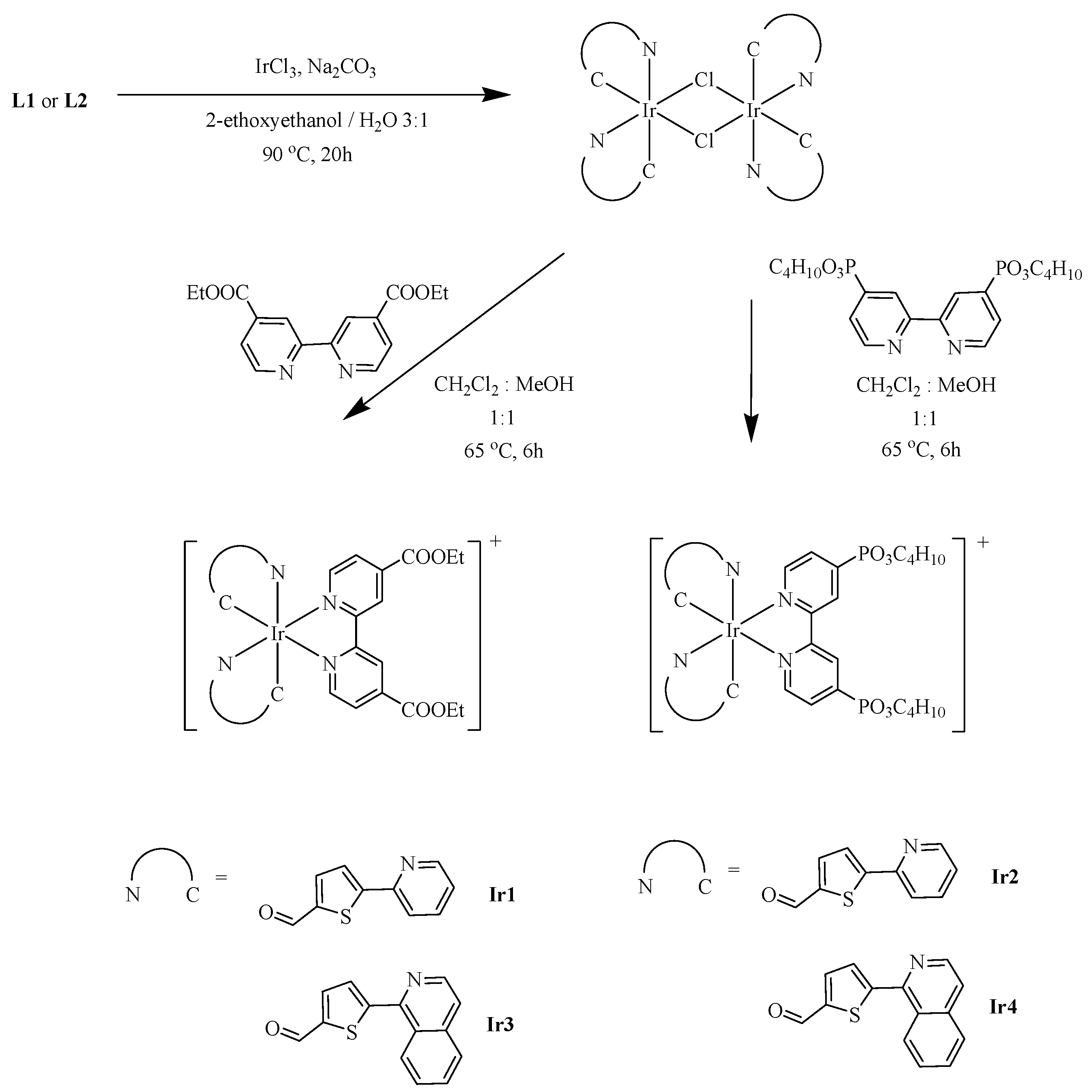 Inorganics 11 00110 sch002 Inorganics 11 00110 sch002