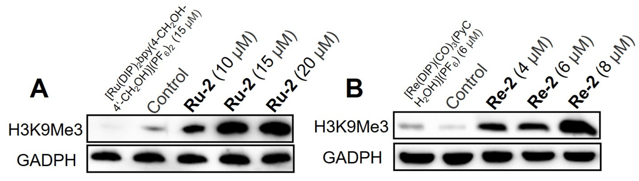 Inorganics 11 00142 g001