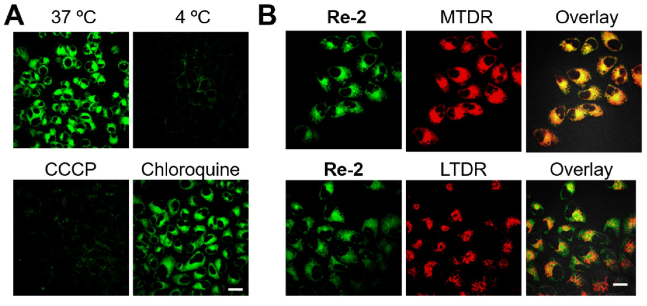 Inorganics 11 00142 g002