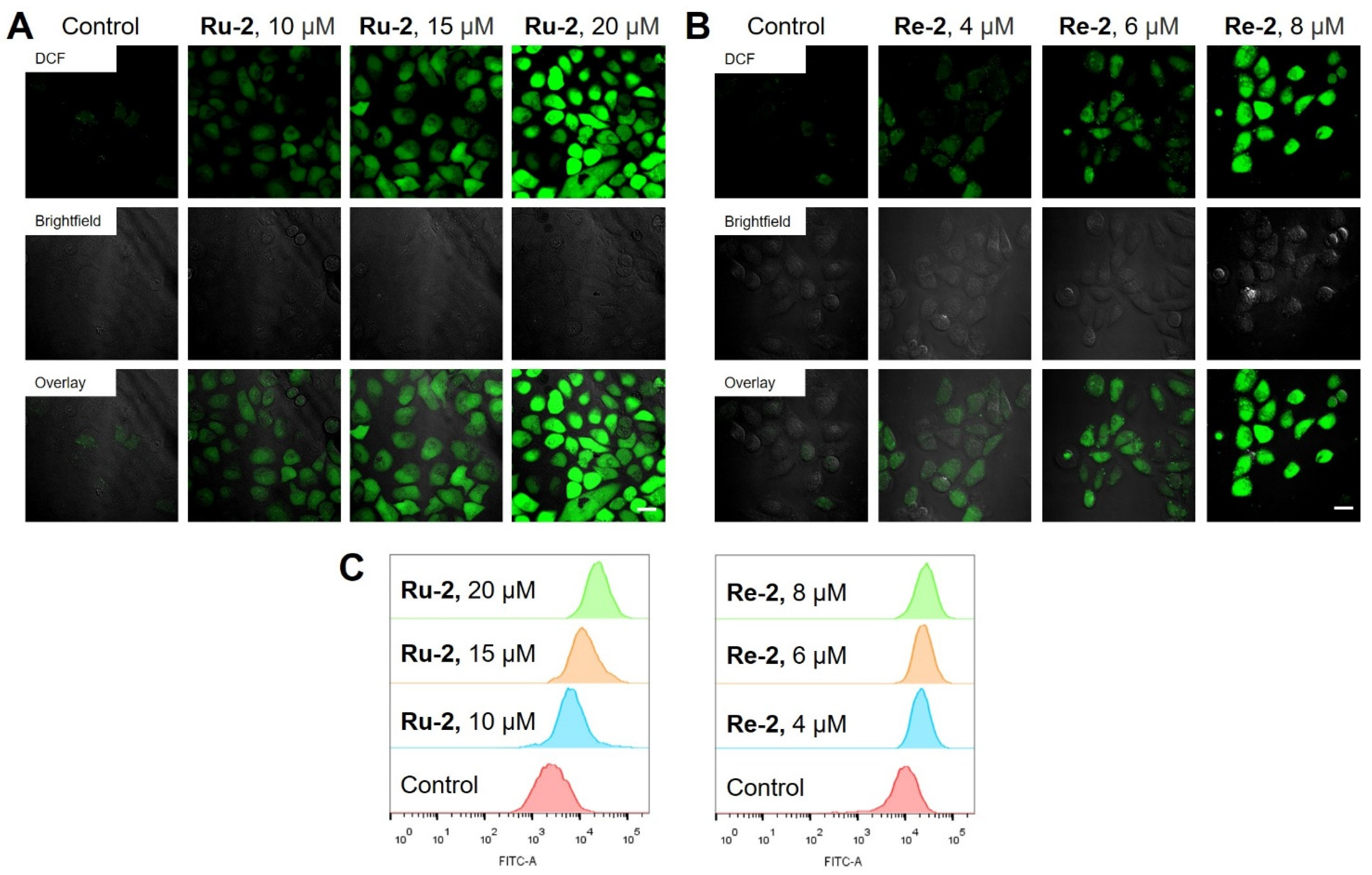 Inorganics 11 00142 g004