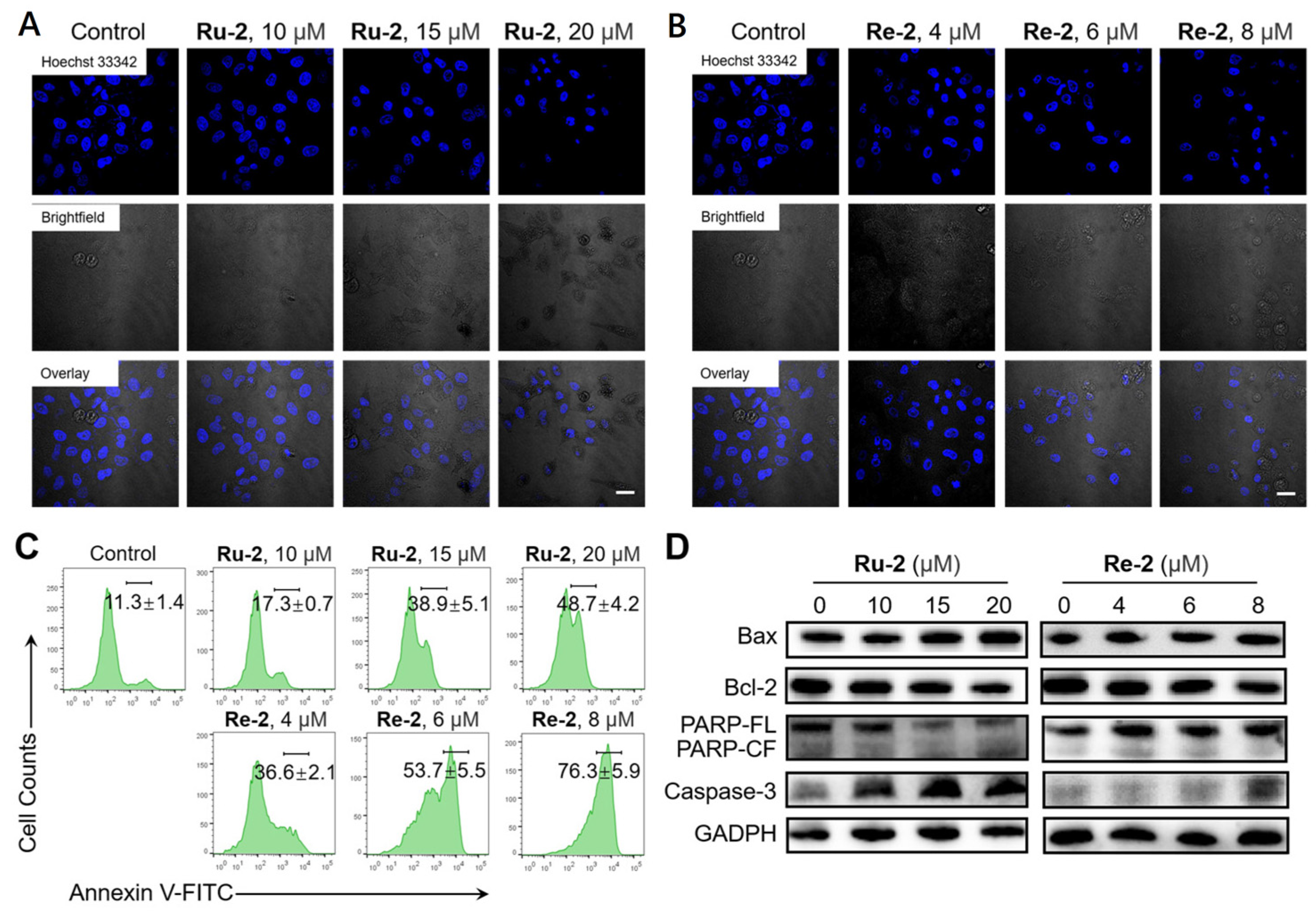 Inorganics 11 00142 g005
