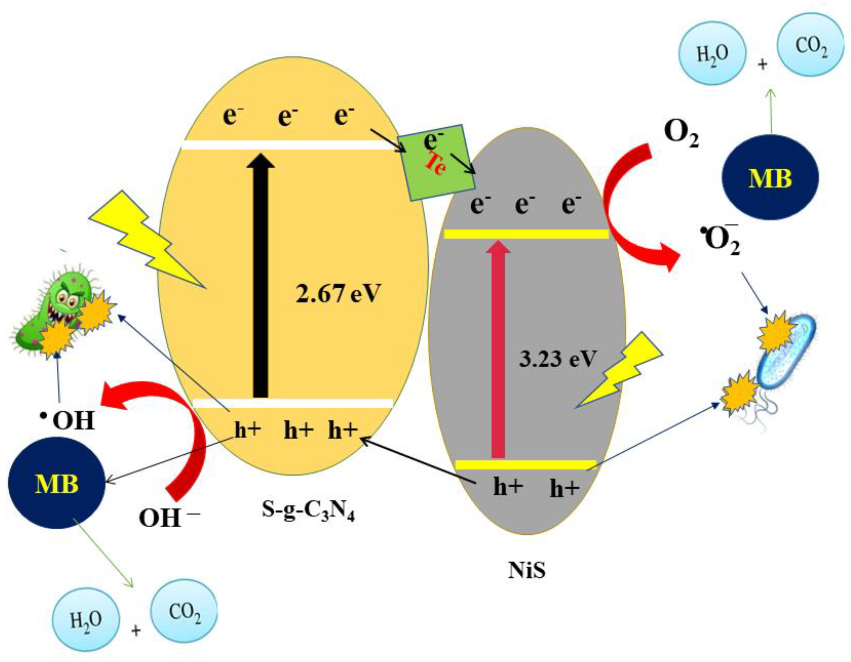 Inorganics 11 00156 g010