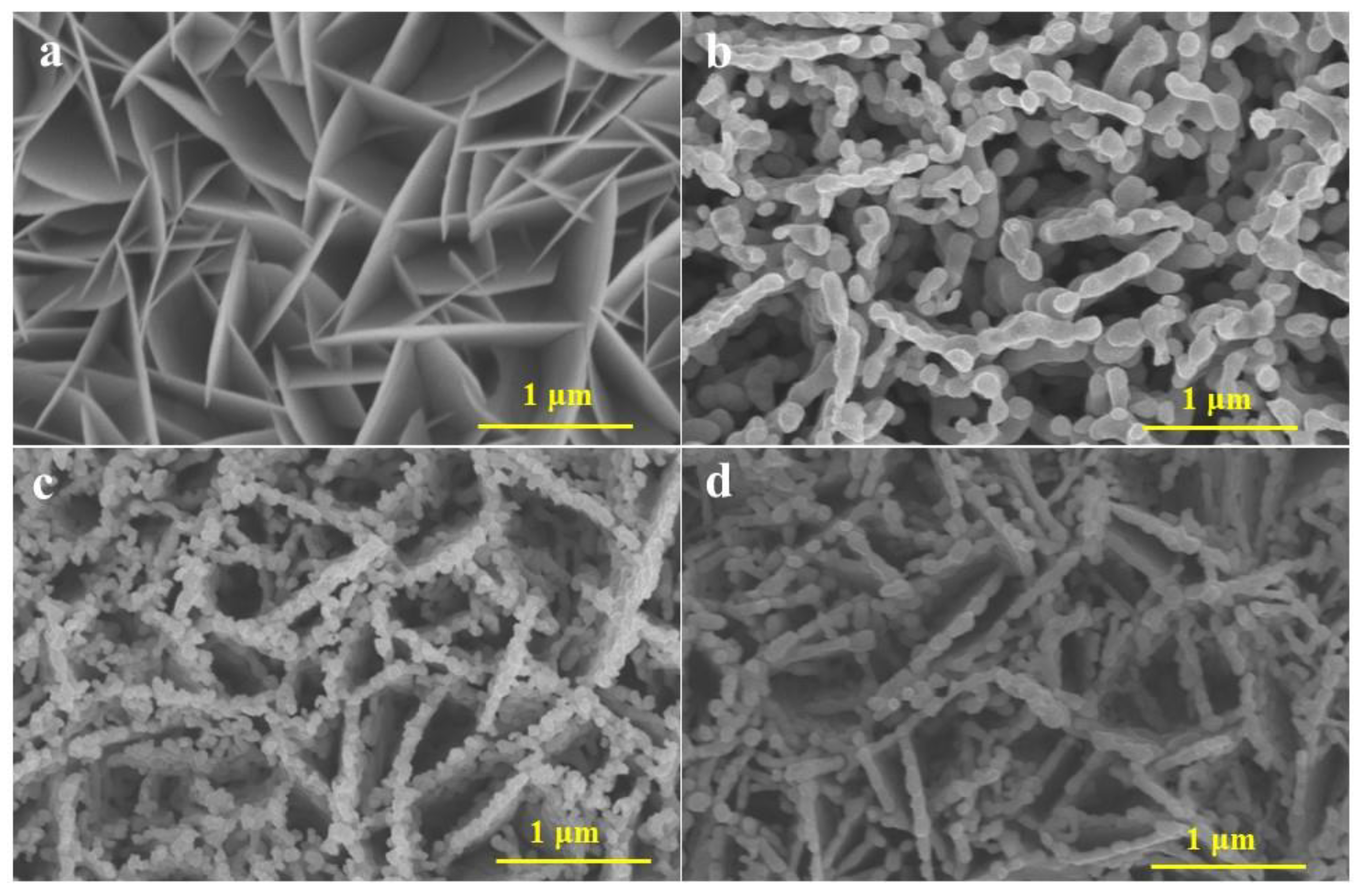 Inorganics 11 00203 g001