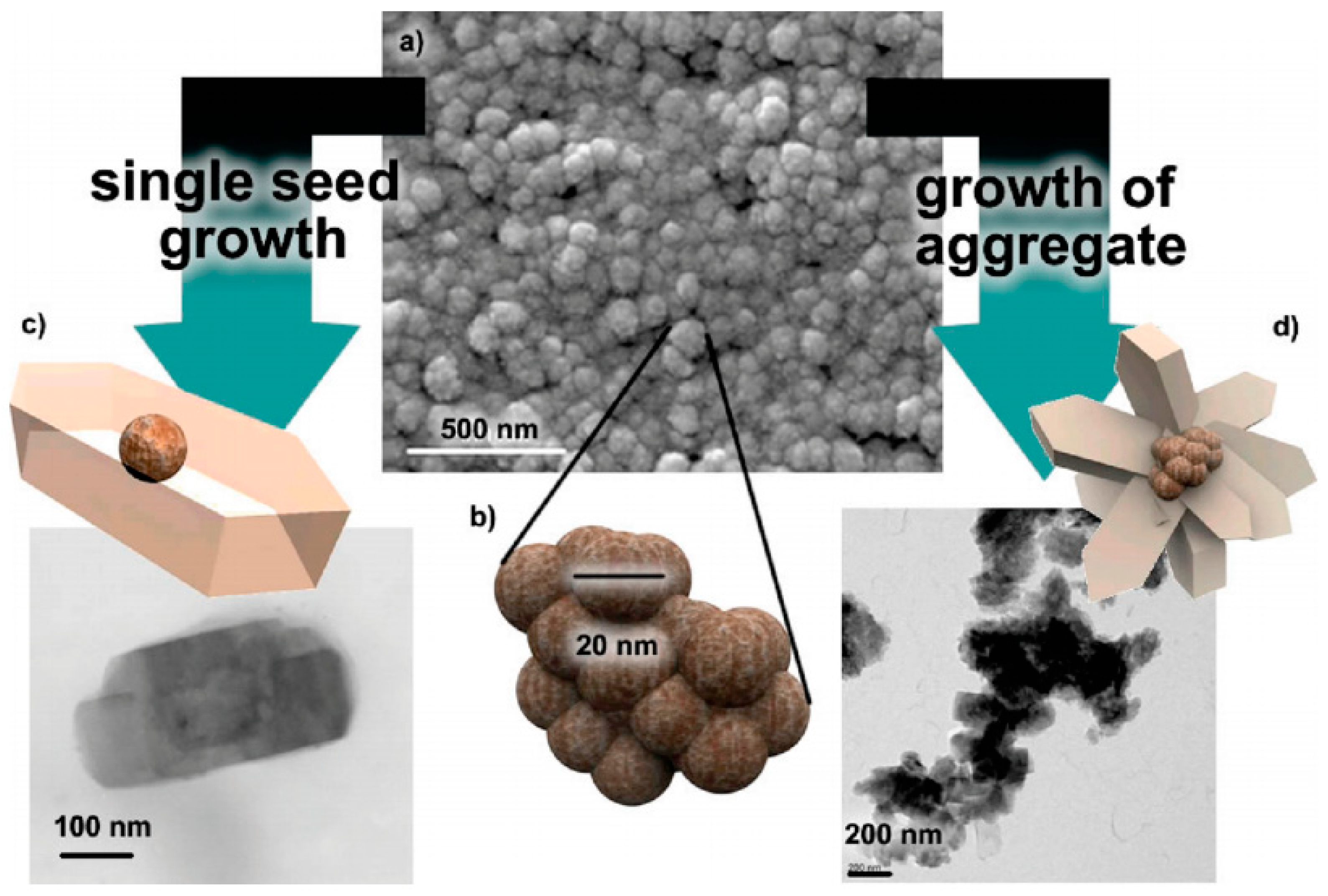 Inorganics 11 00214 g005