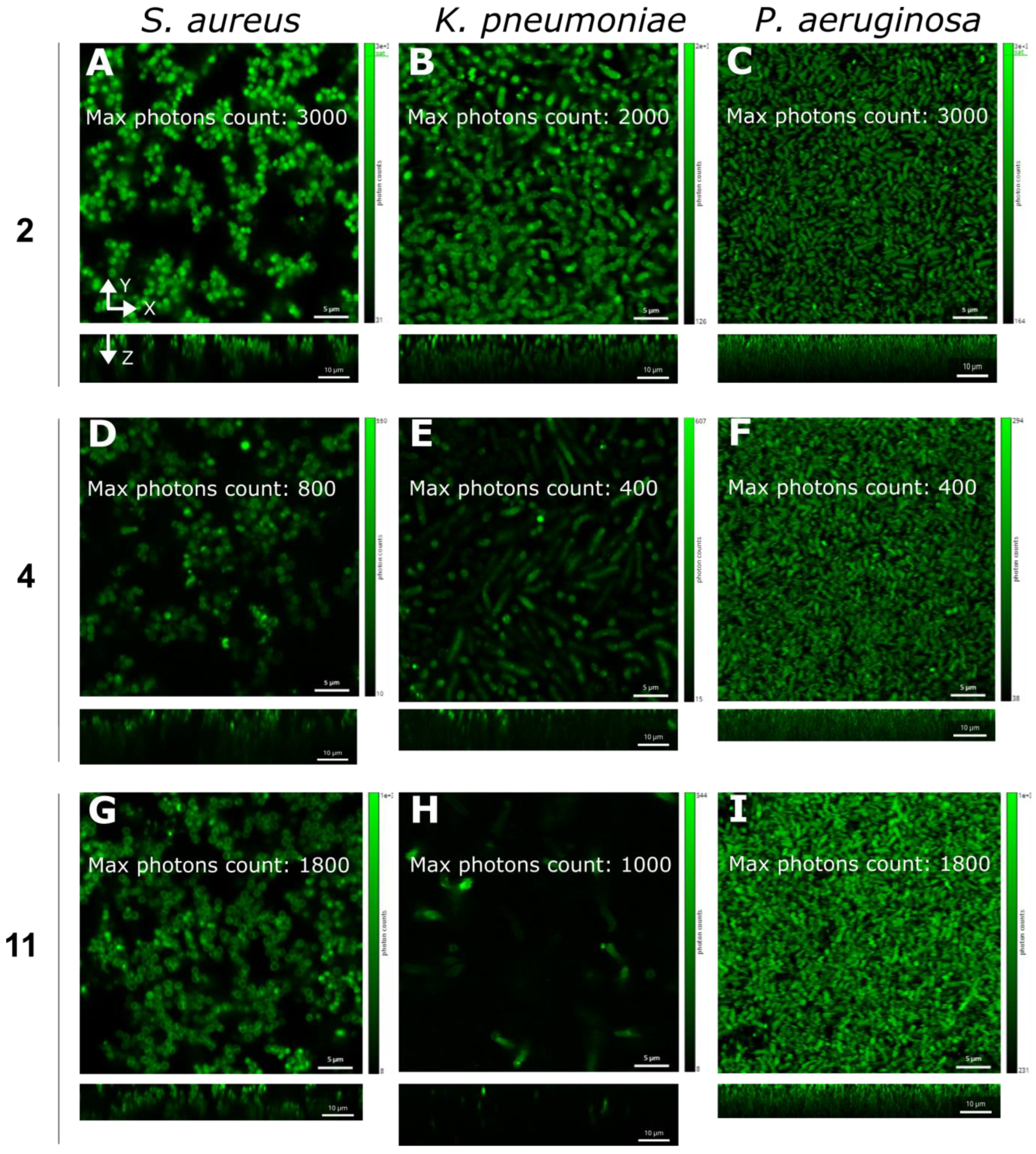Inorganics 11 00241 g005 Inorganics 11 00241 g005