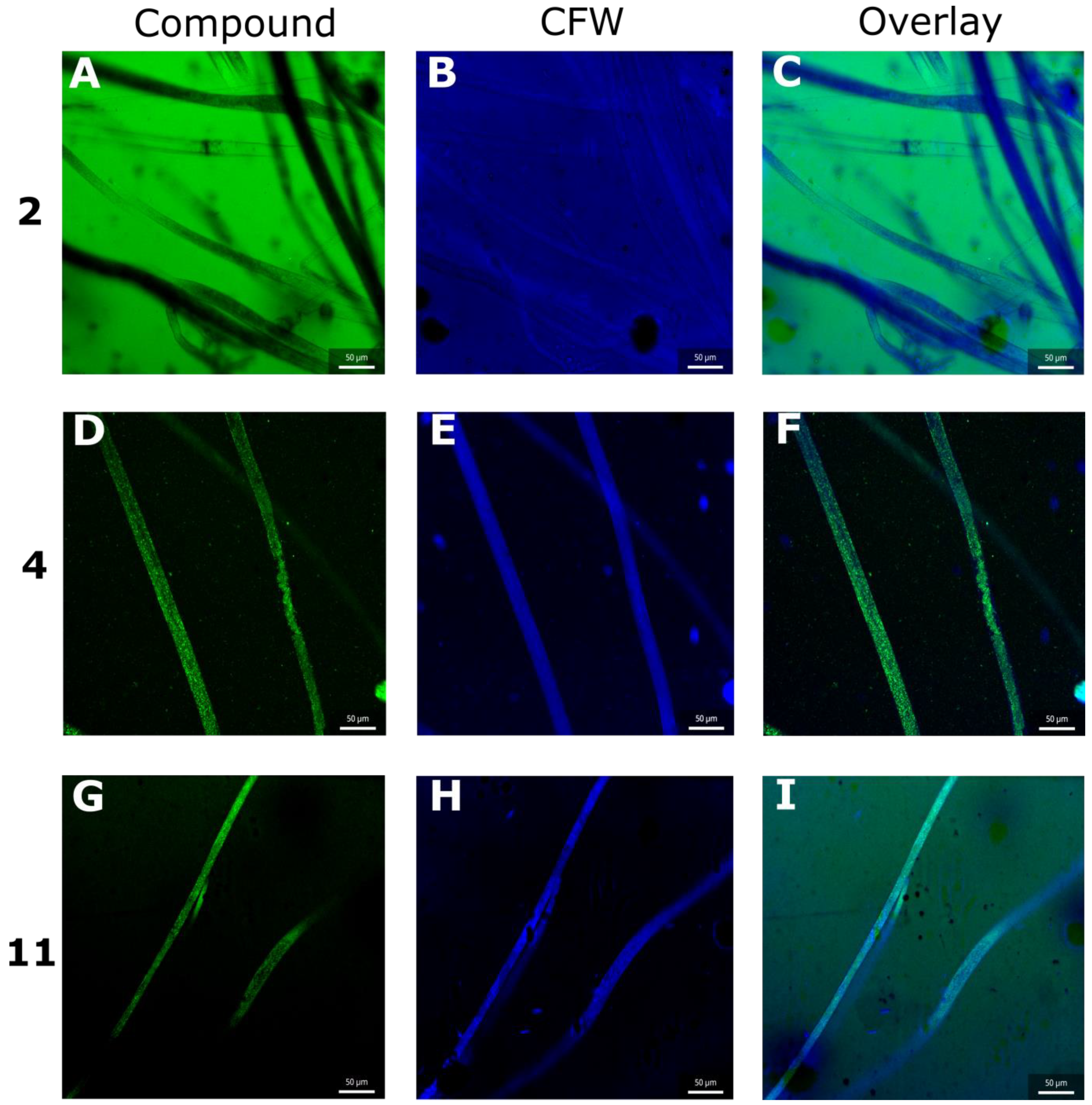 Inorganics 11 00241 g007 Inorganics 11 00241 g007