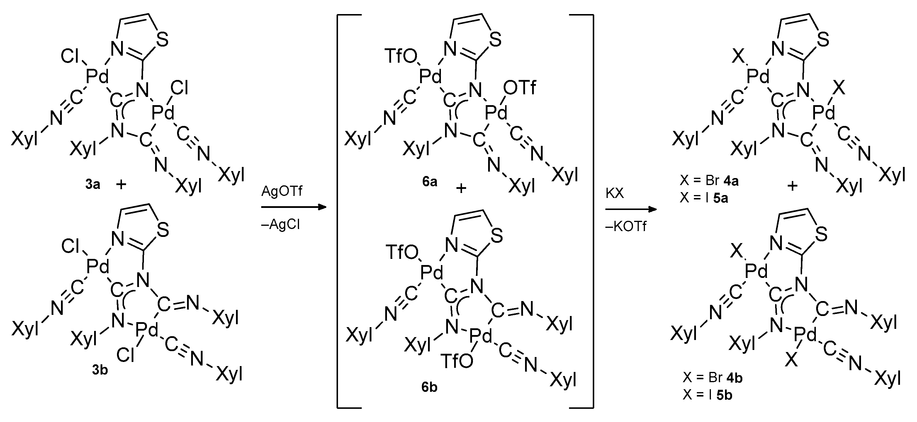 Inorganics 11 00255 sch002