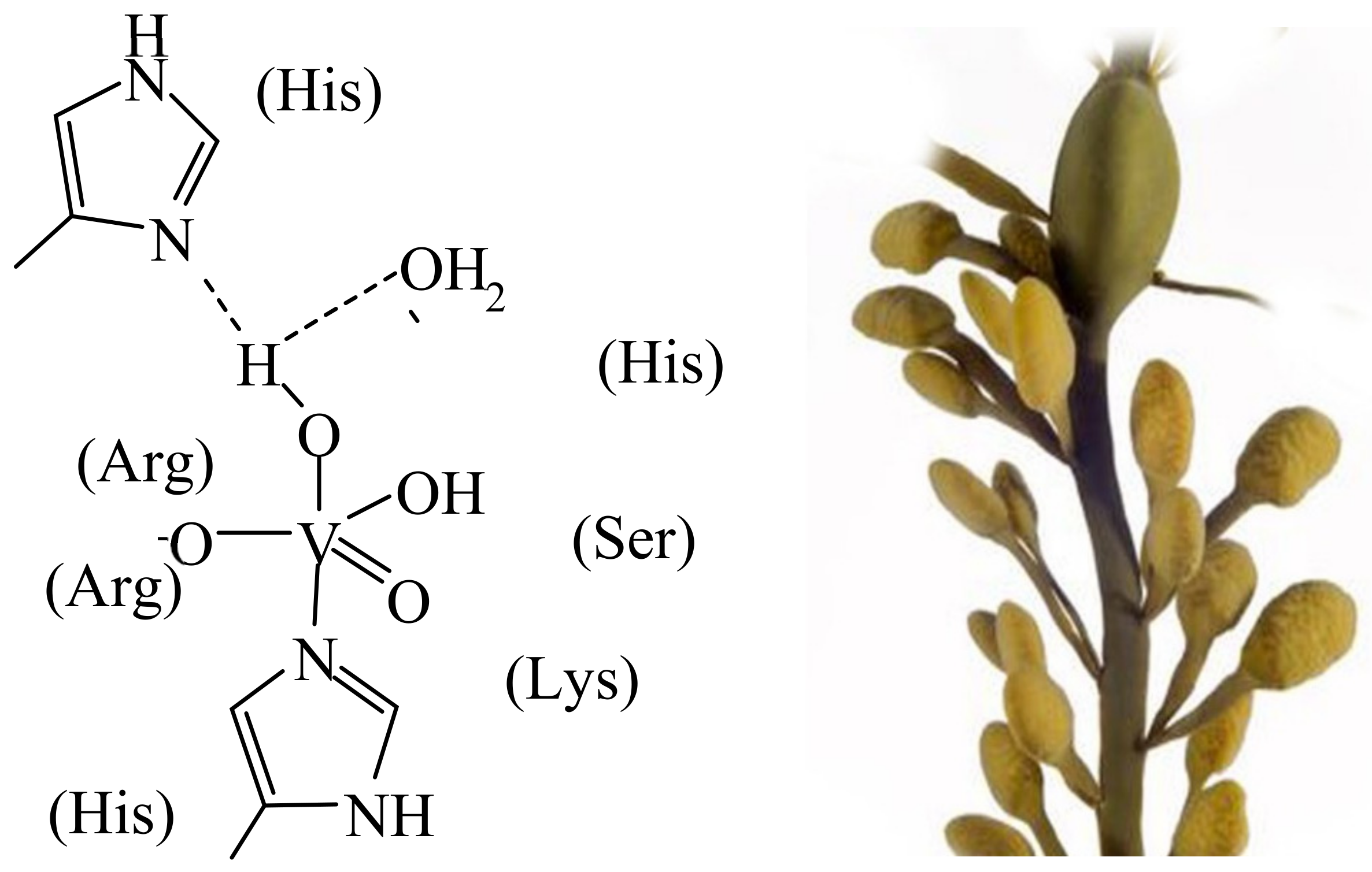 Inorganics 11 00256 g001 Inorganics 11 00256 g001