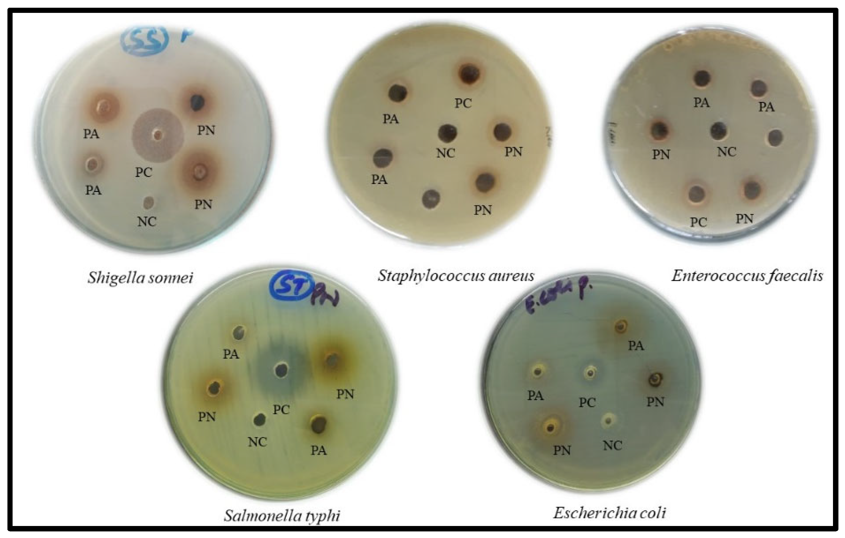 Inorganics 11 00263 g006