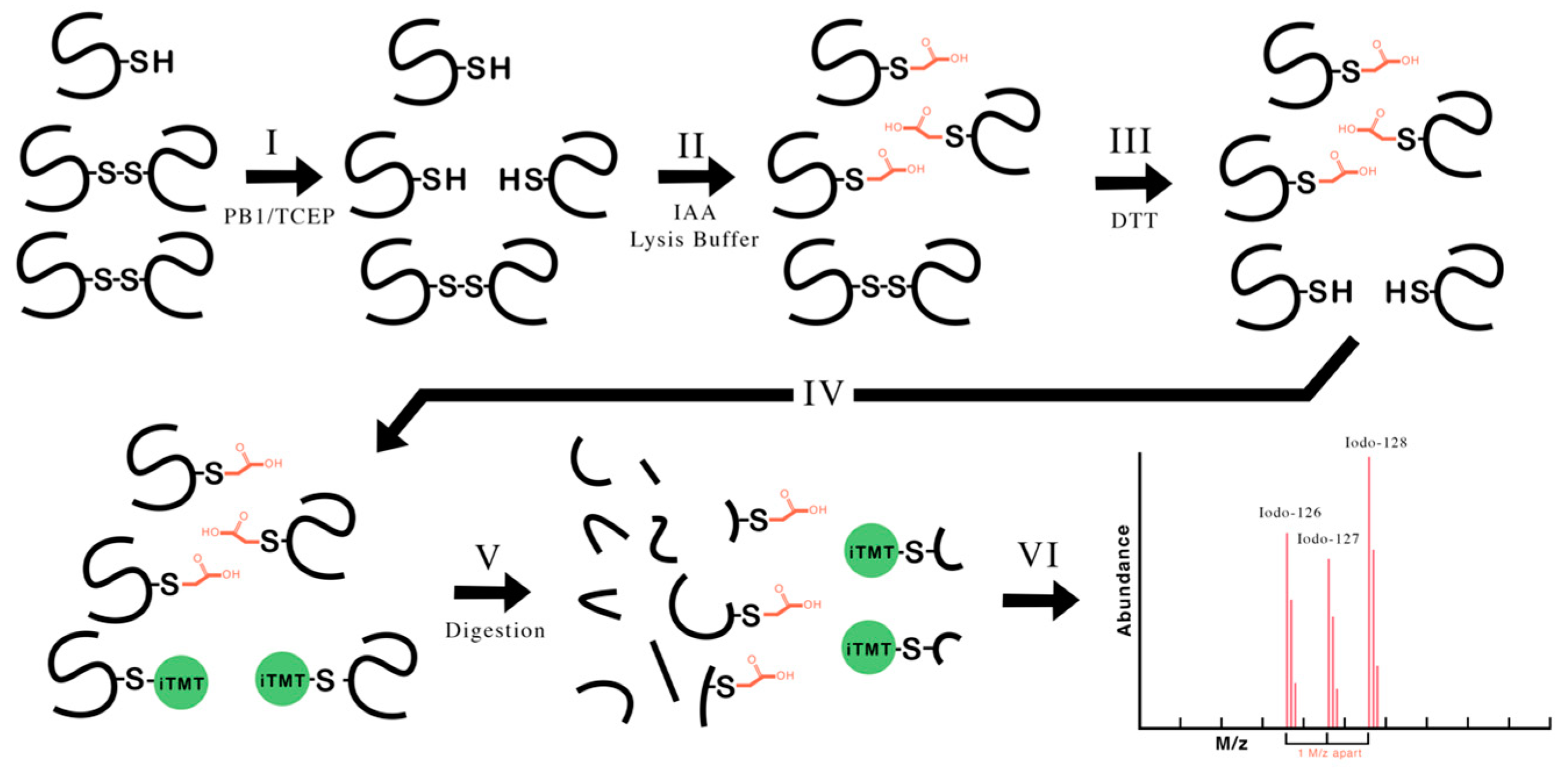 Inorganics 11 00310 g001