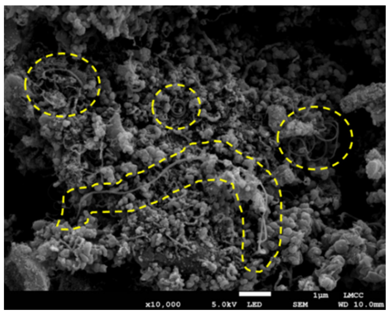 Inorganics 11 00316 g002