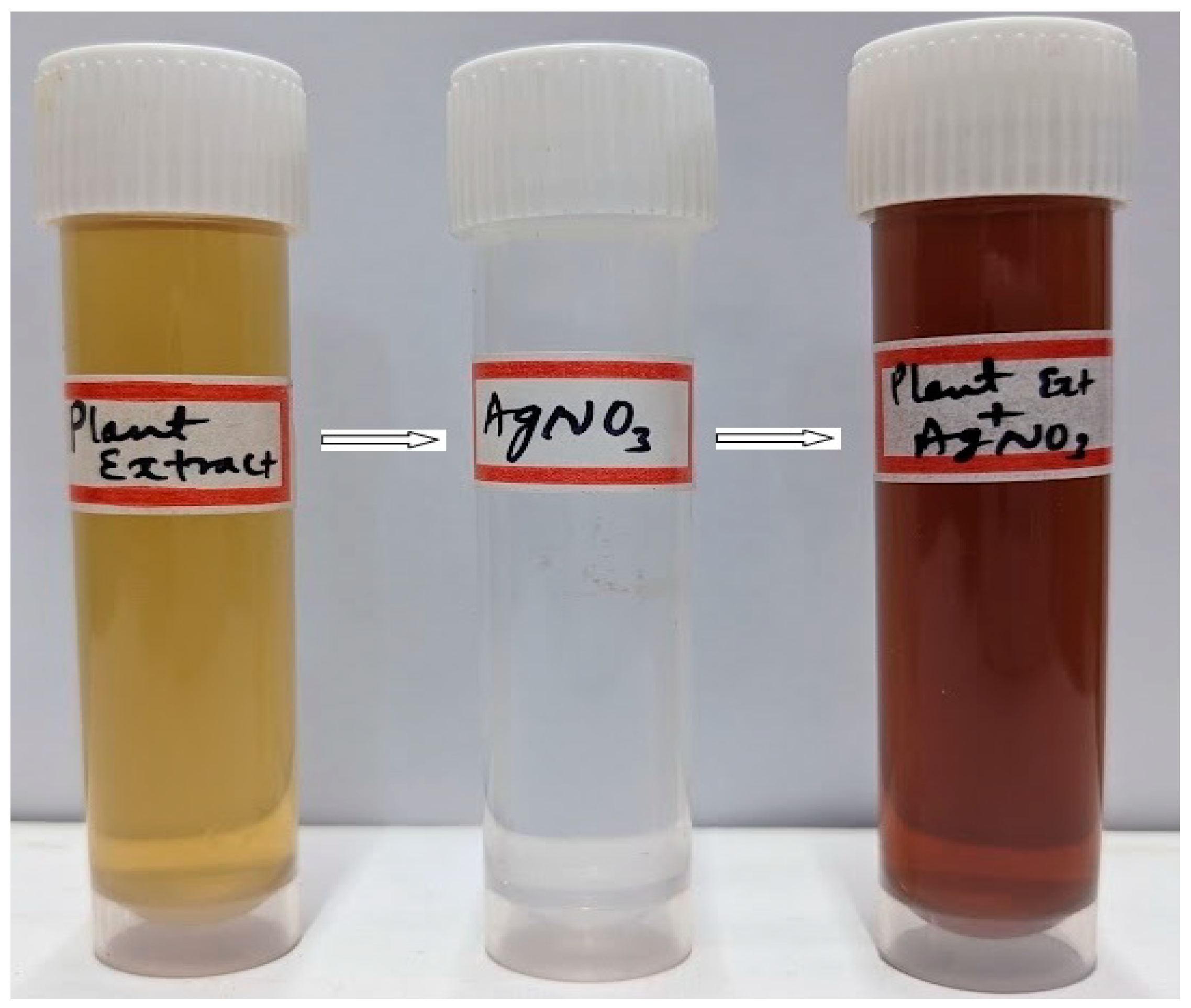 Inorganics 11 00322 g002