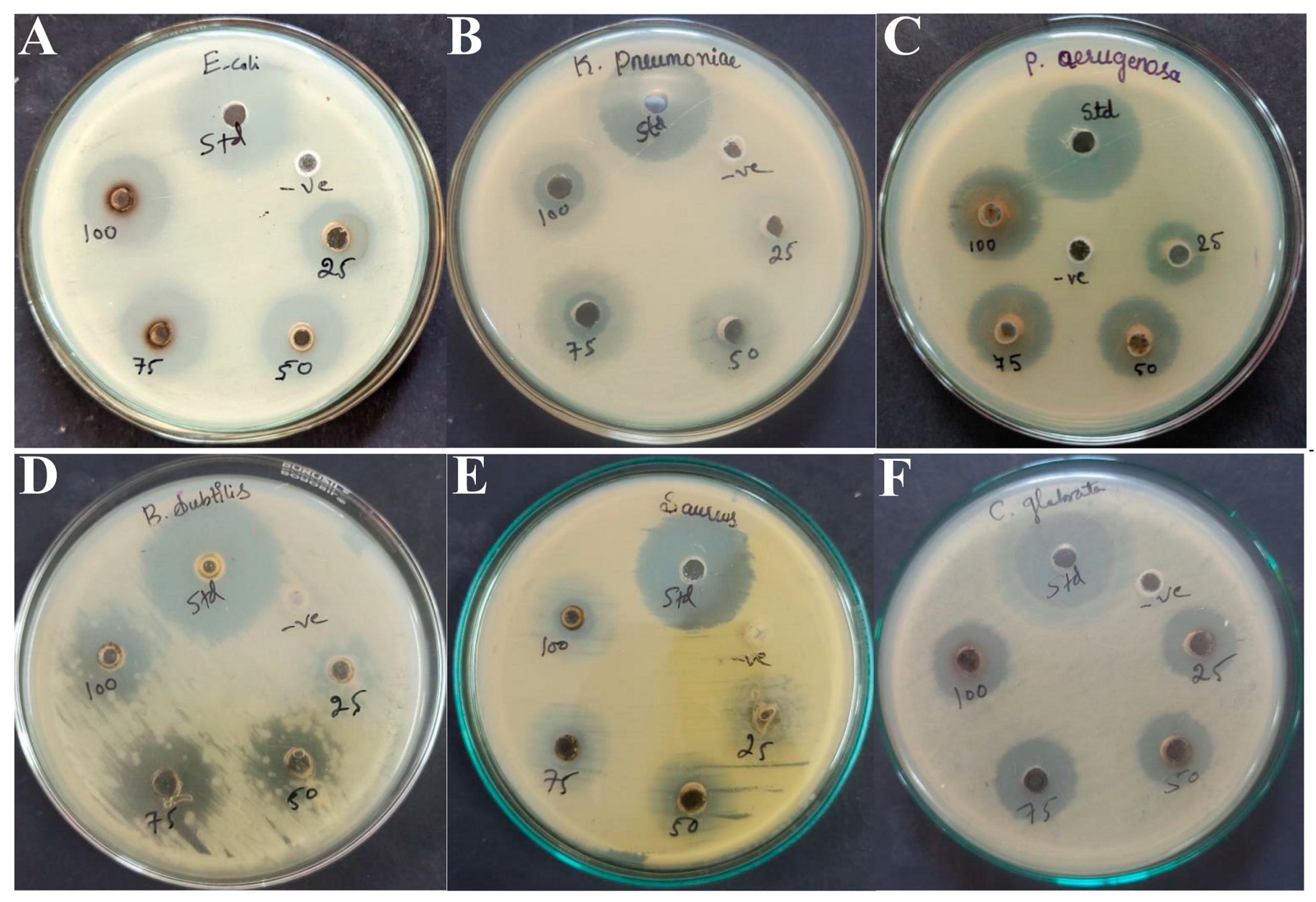 Inorganics 11 00322 g010