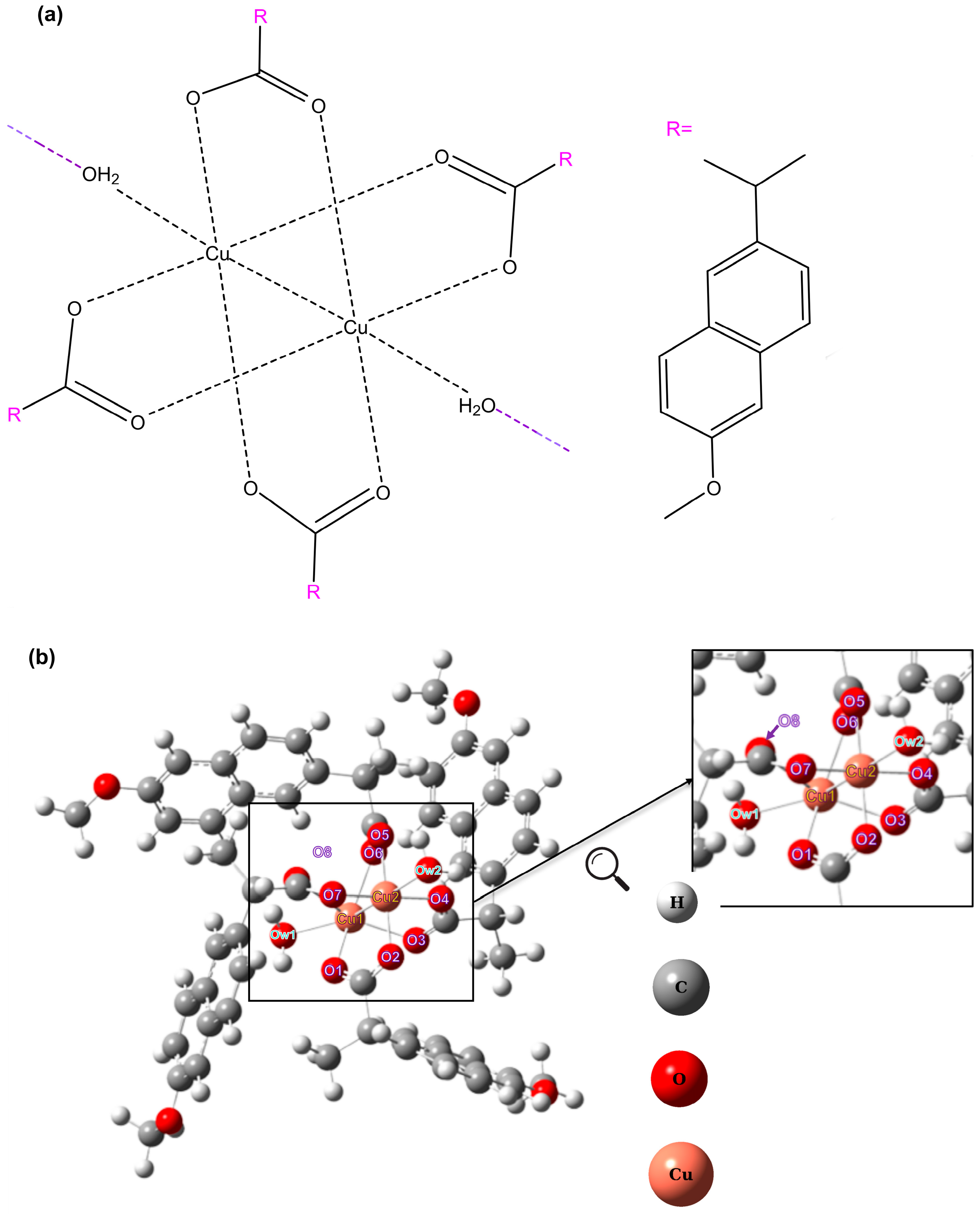 Inorganics 11 00331 g010