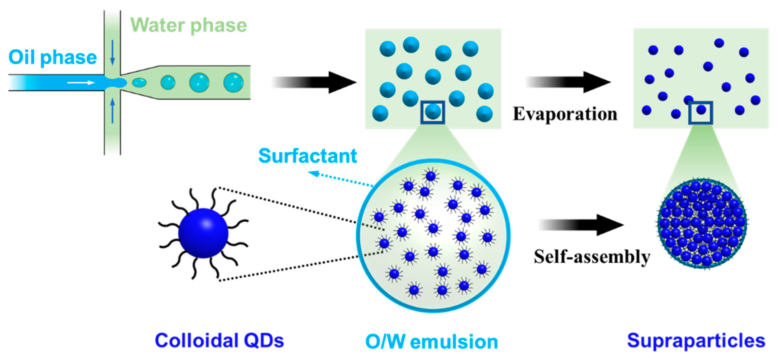 Inorganics 11 00340 g001