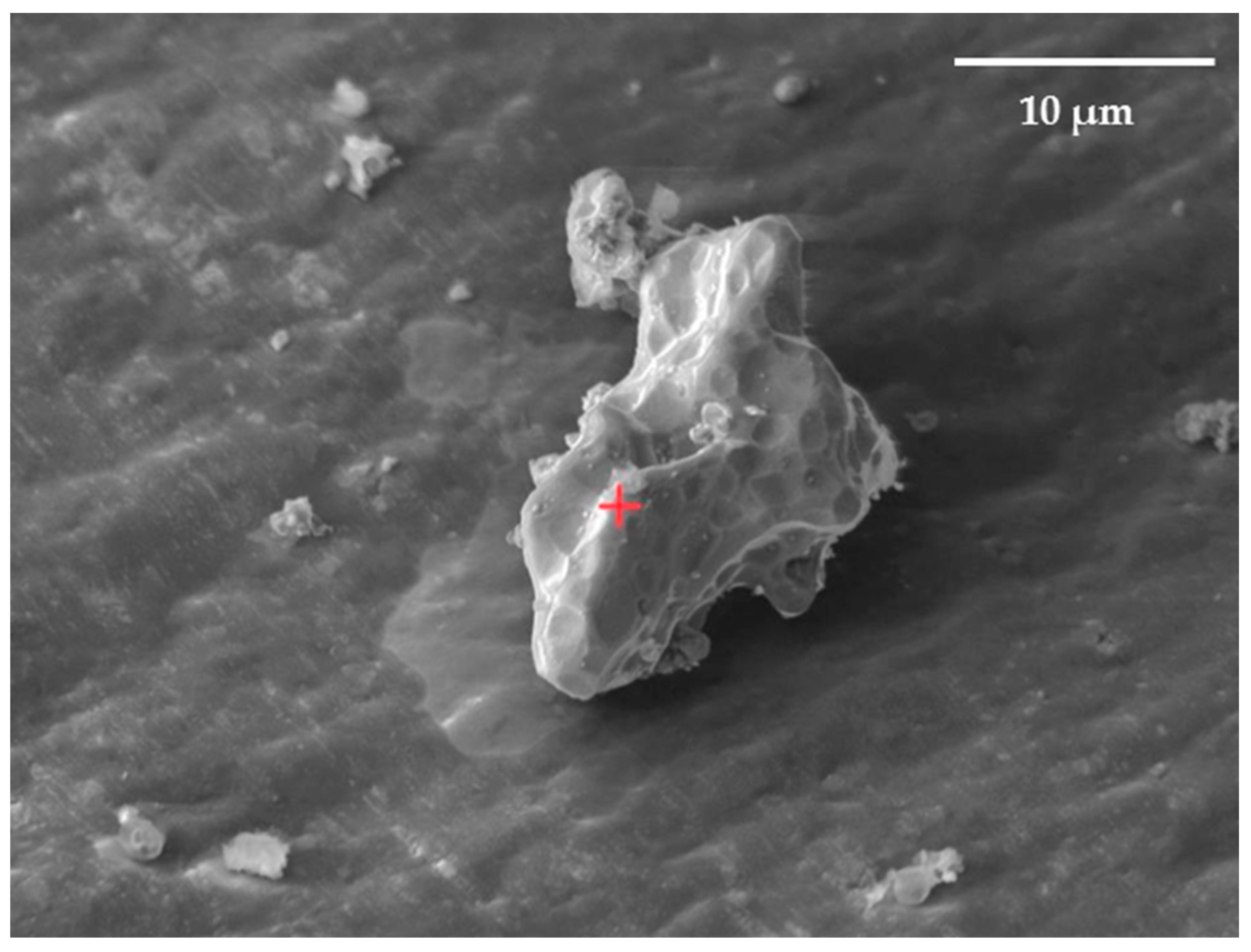 Inorganics 11 00347 g008