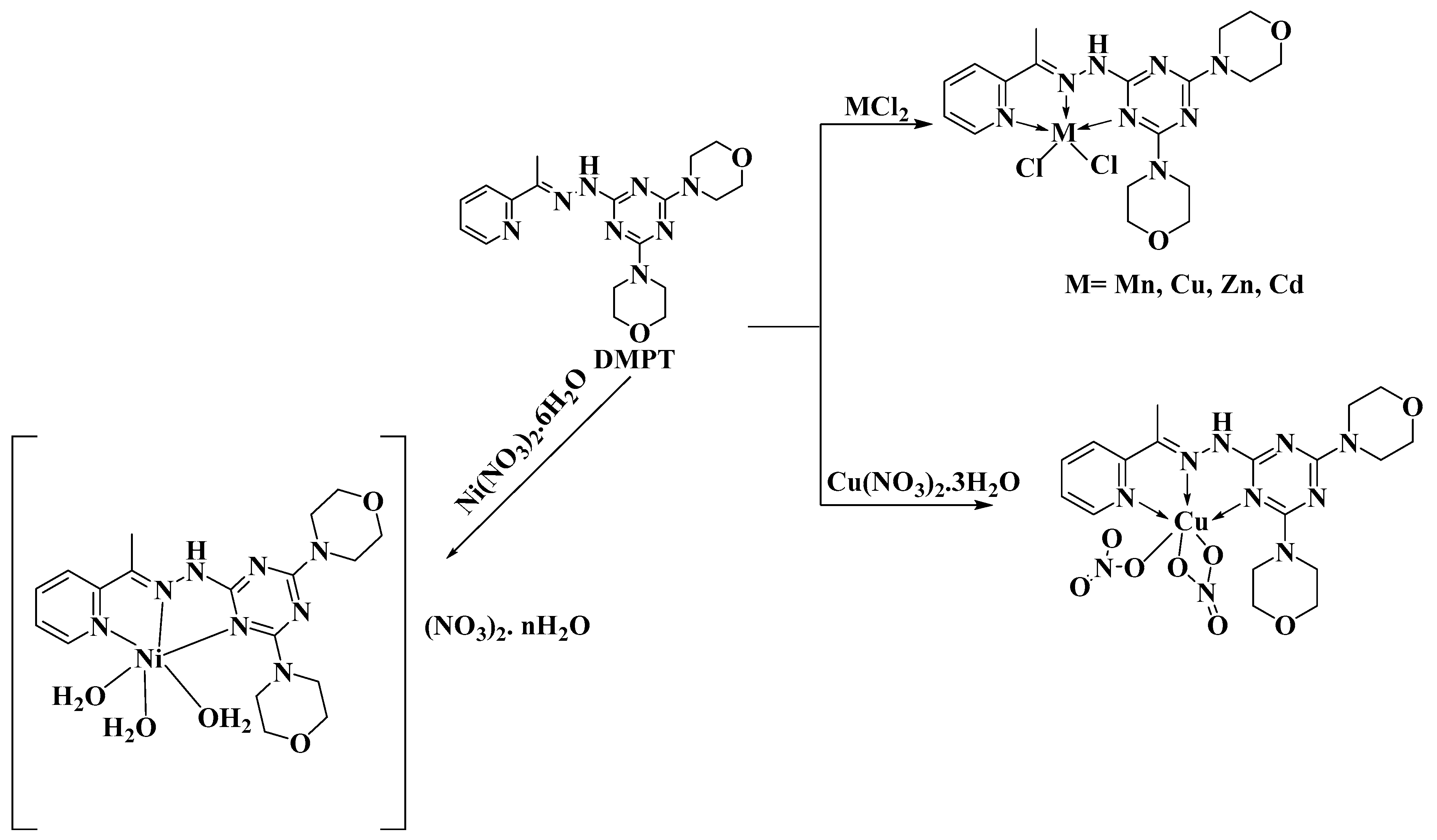Inorganics 11 00357 sch001