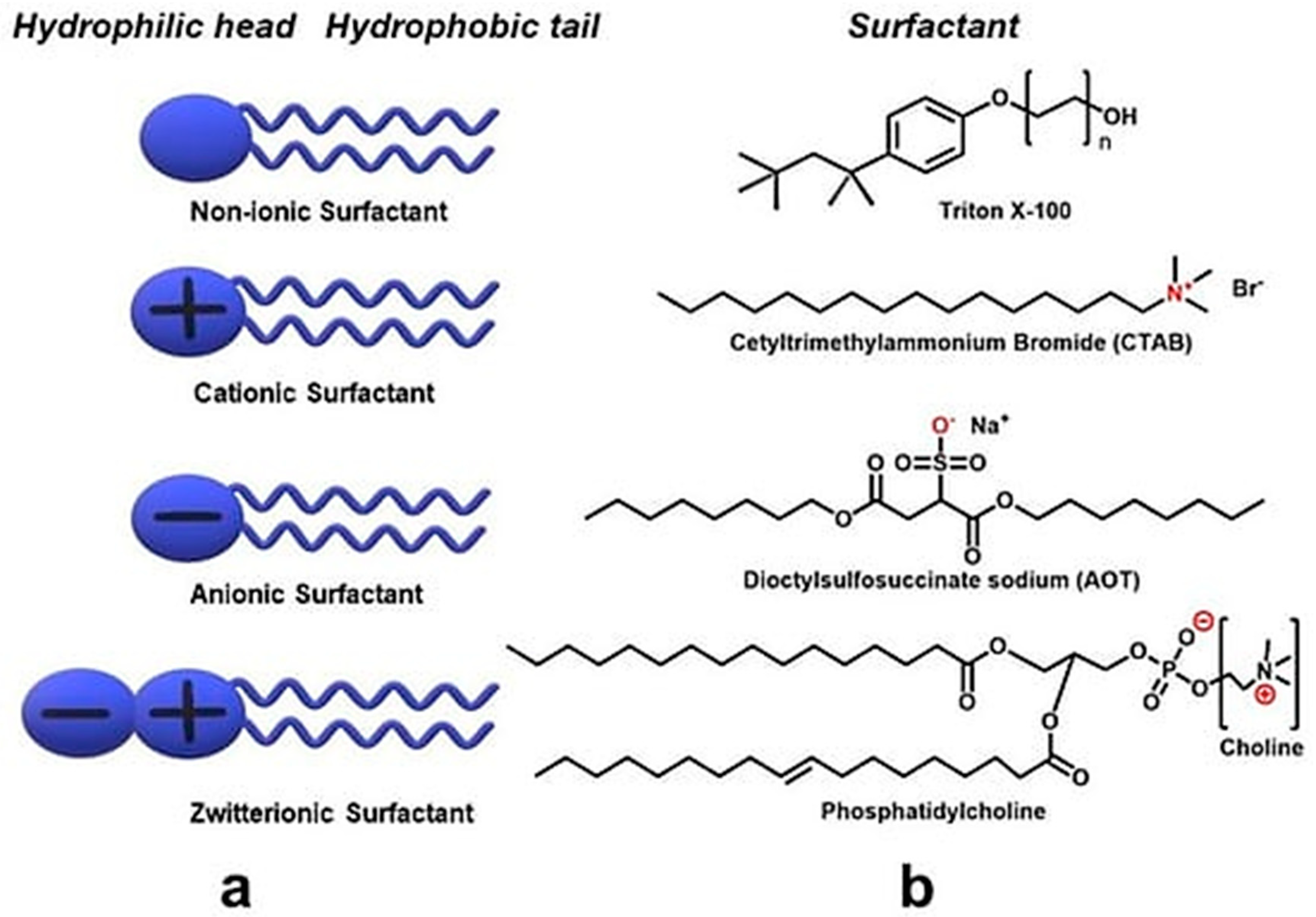 Inorganics 11 00383 g003