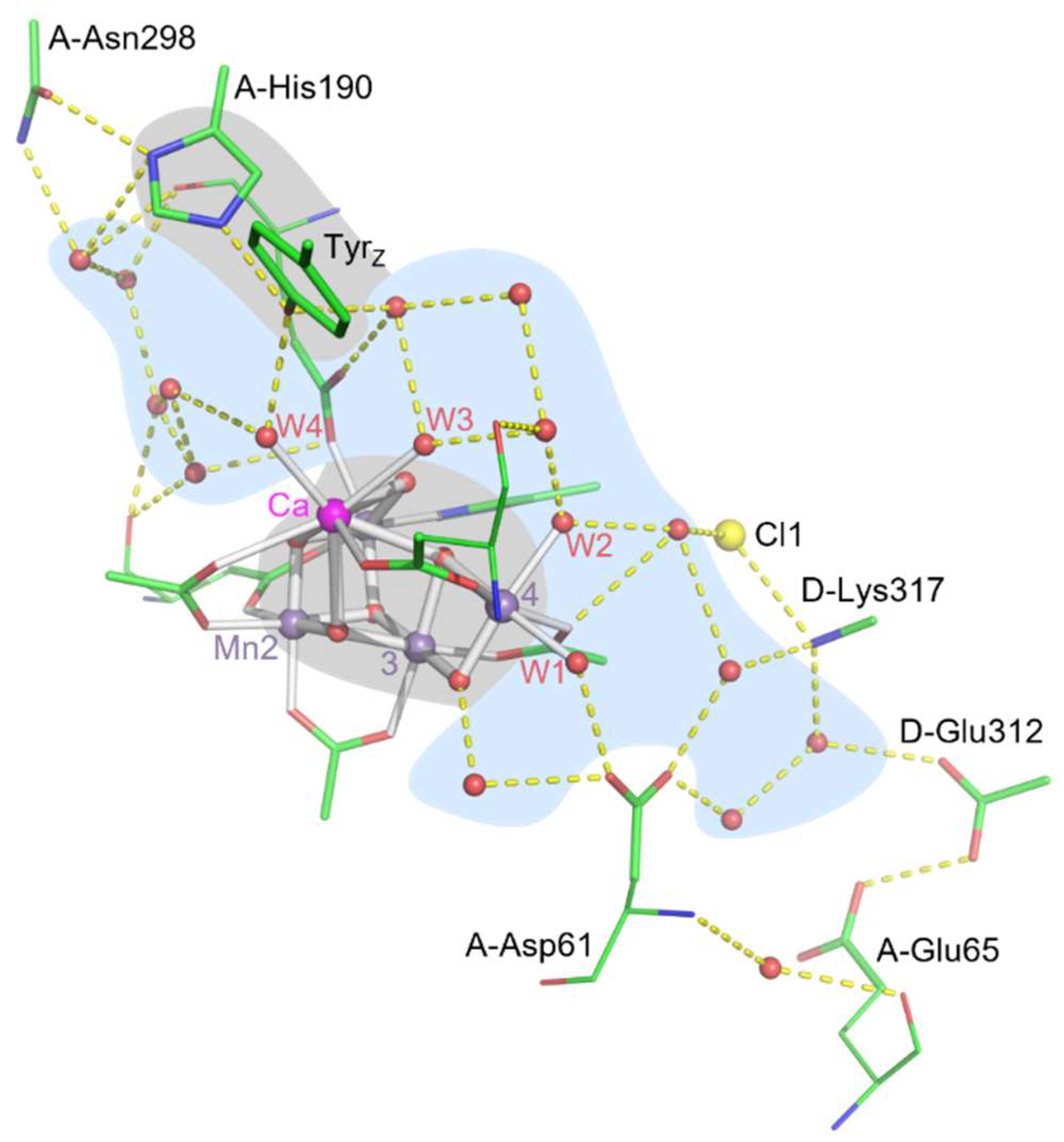 Inorganics 11 00389 g001 Inorganics 11 00389 g001