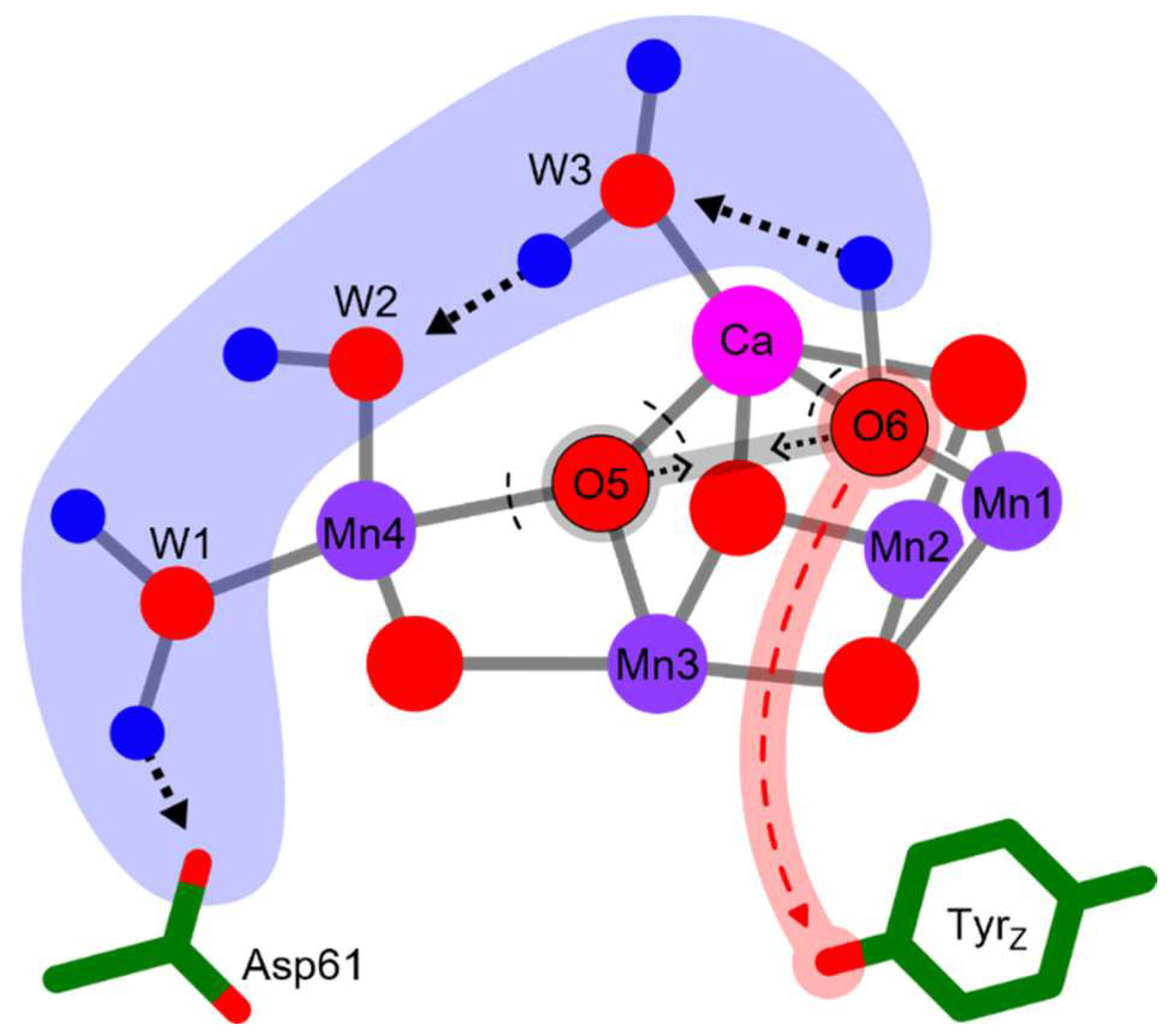 Inorganics 11 00389 g002 Inorganics 11 00389 g002