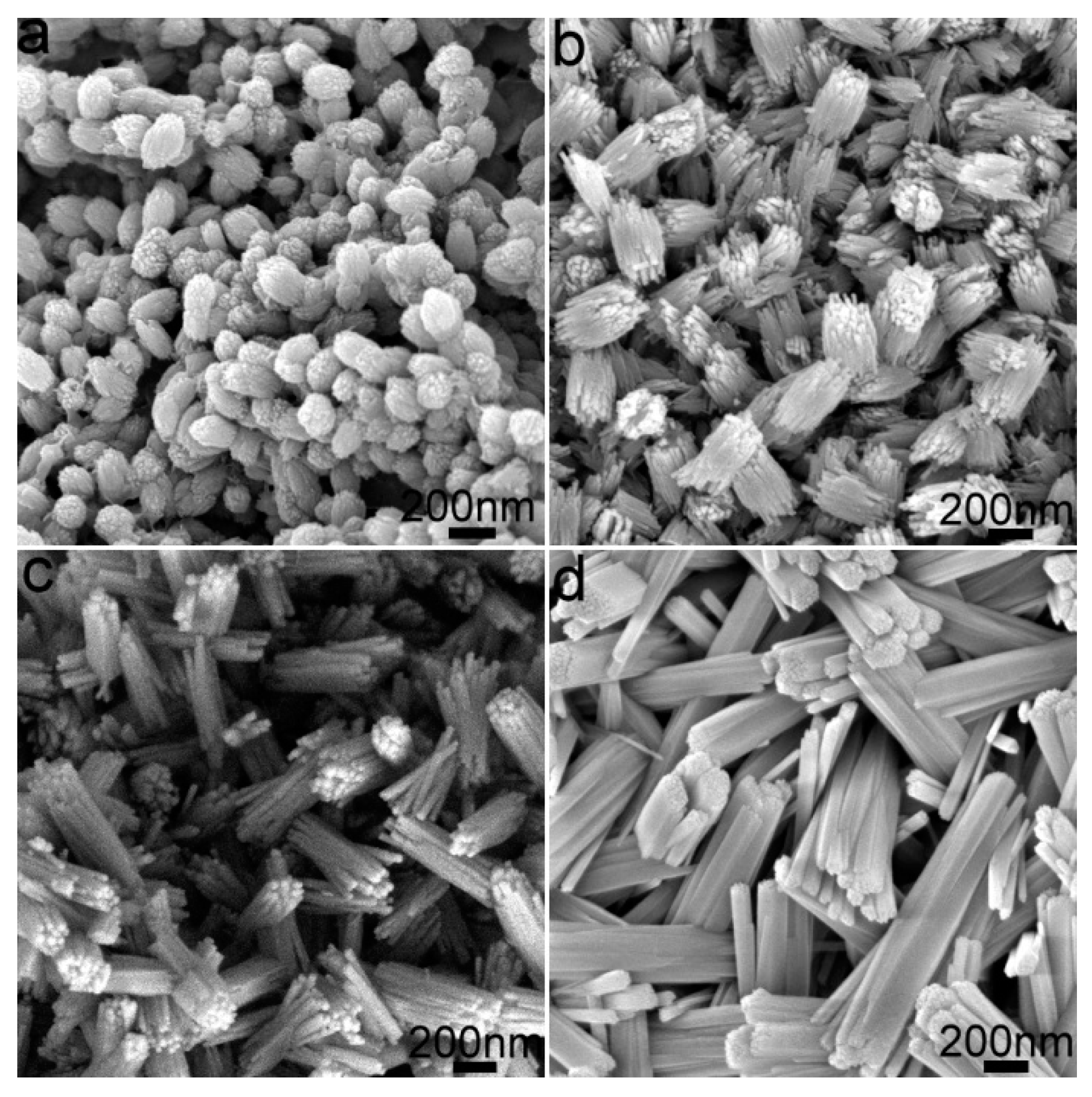 Inorganics 11 00407 g004