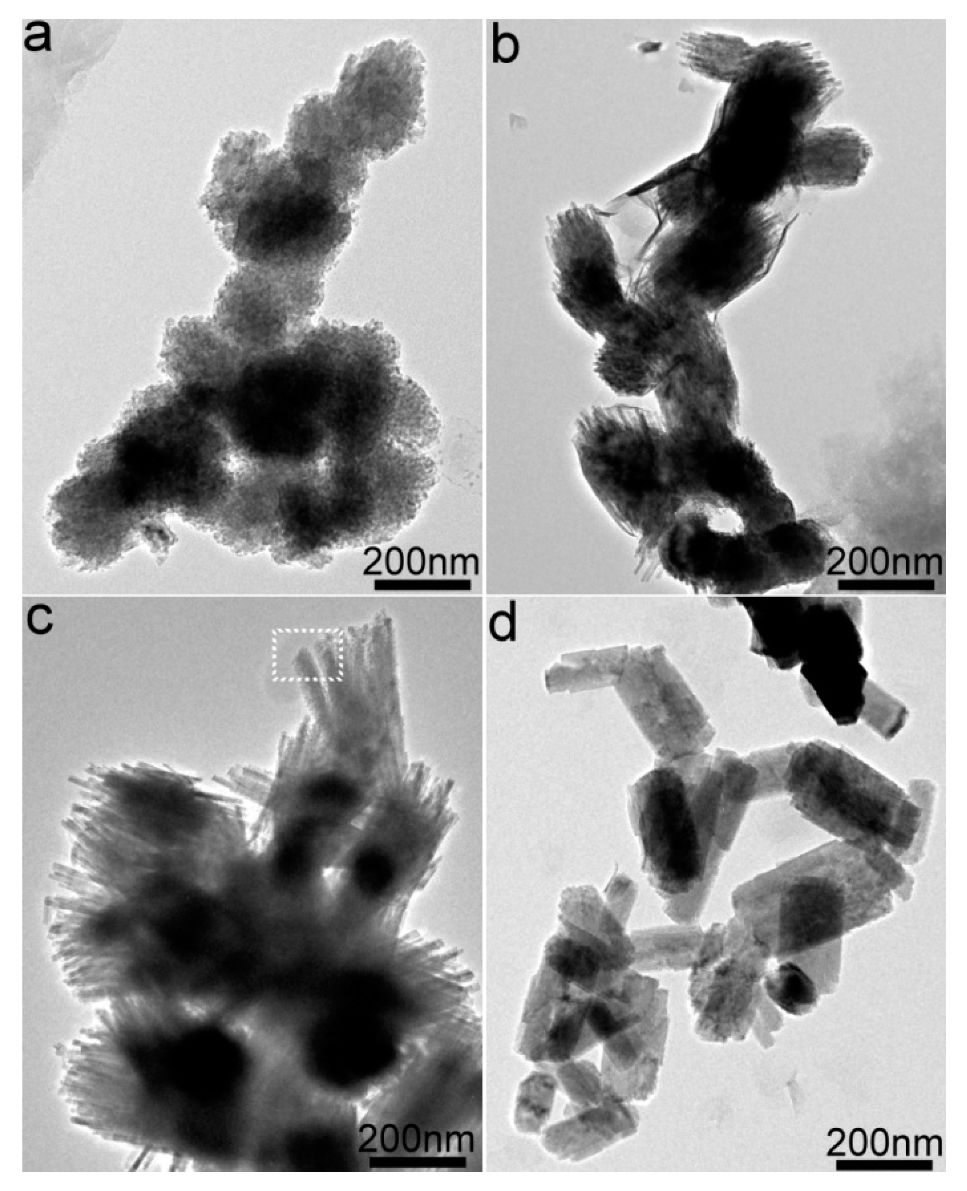 Inorganics 11 00407 g005