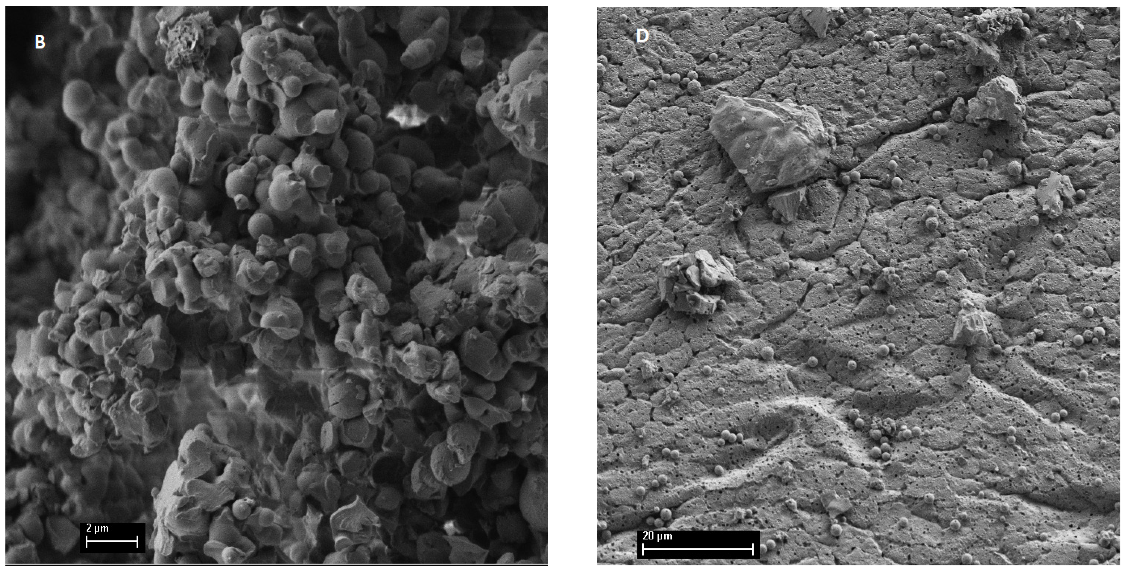 Inorganics 11 00415 g004b