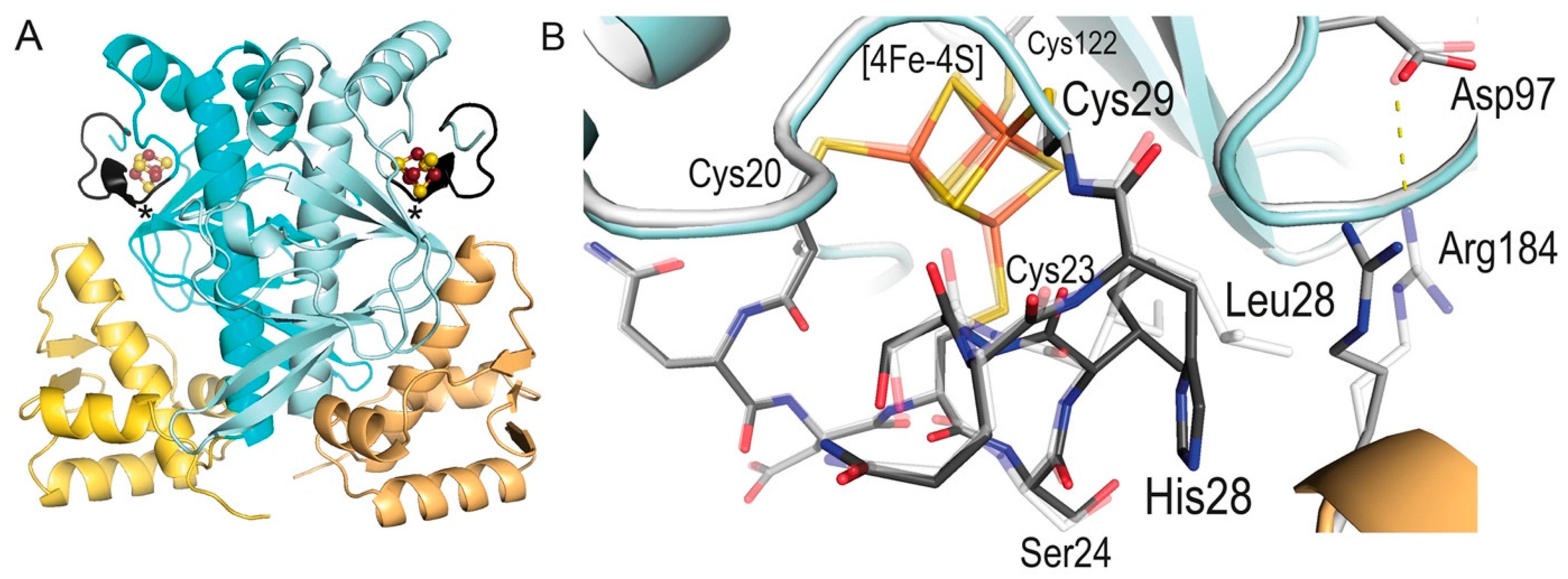 Inorganics 11 00450 g007 Inorganics 11 00450 g007