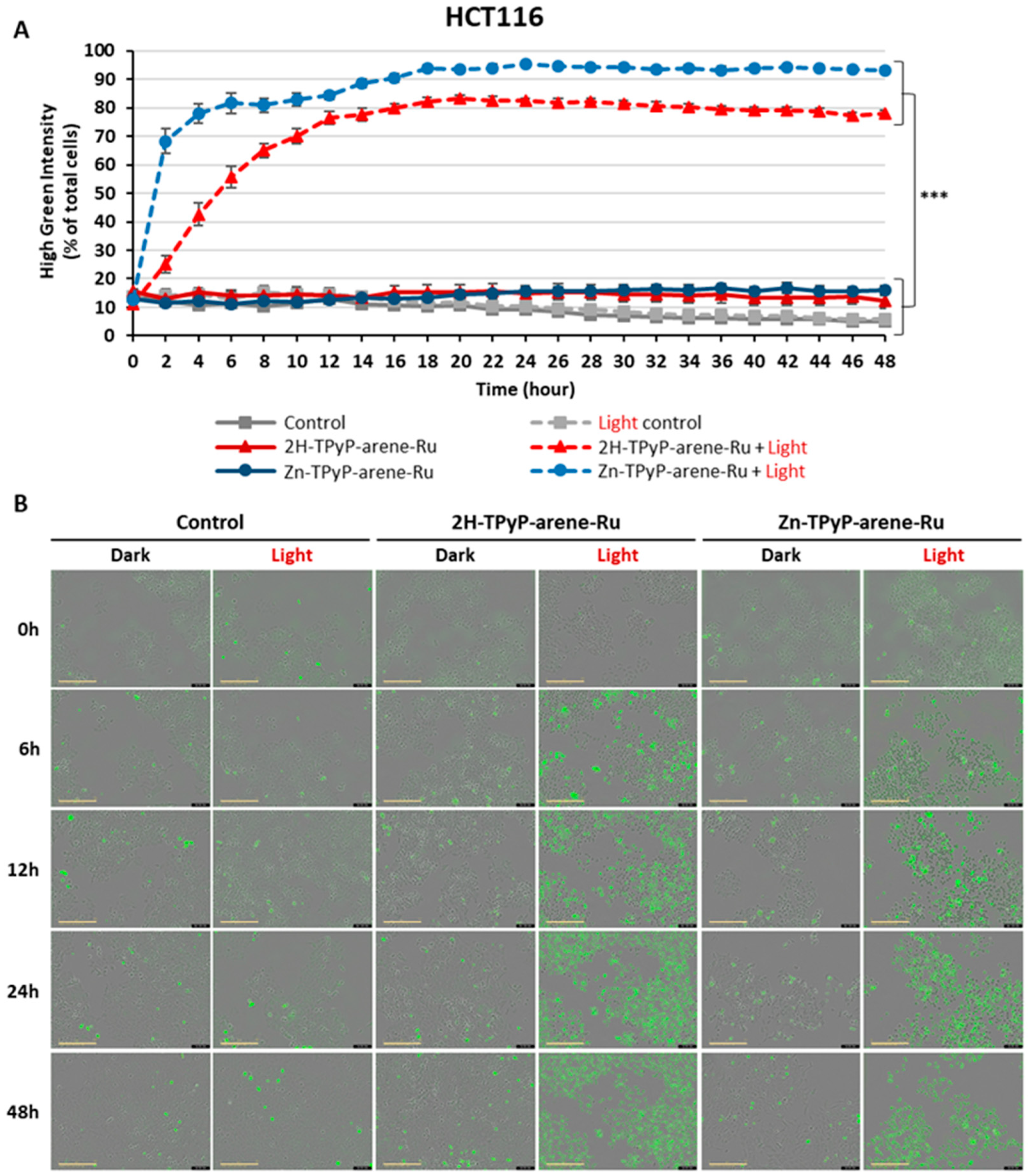 Inorganics 11 00451 g010