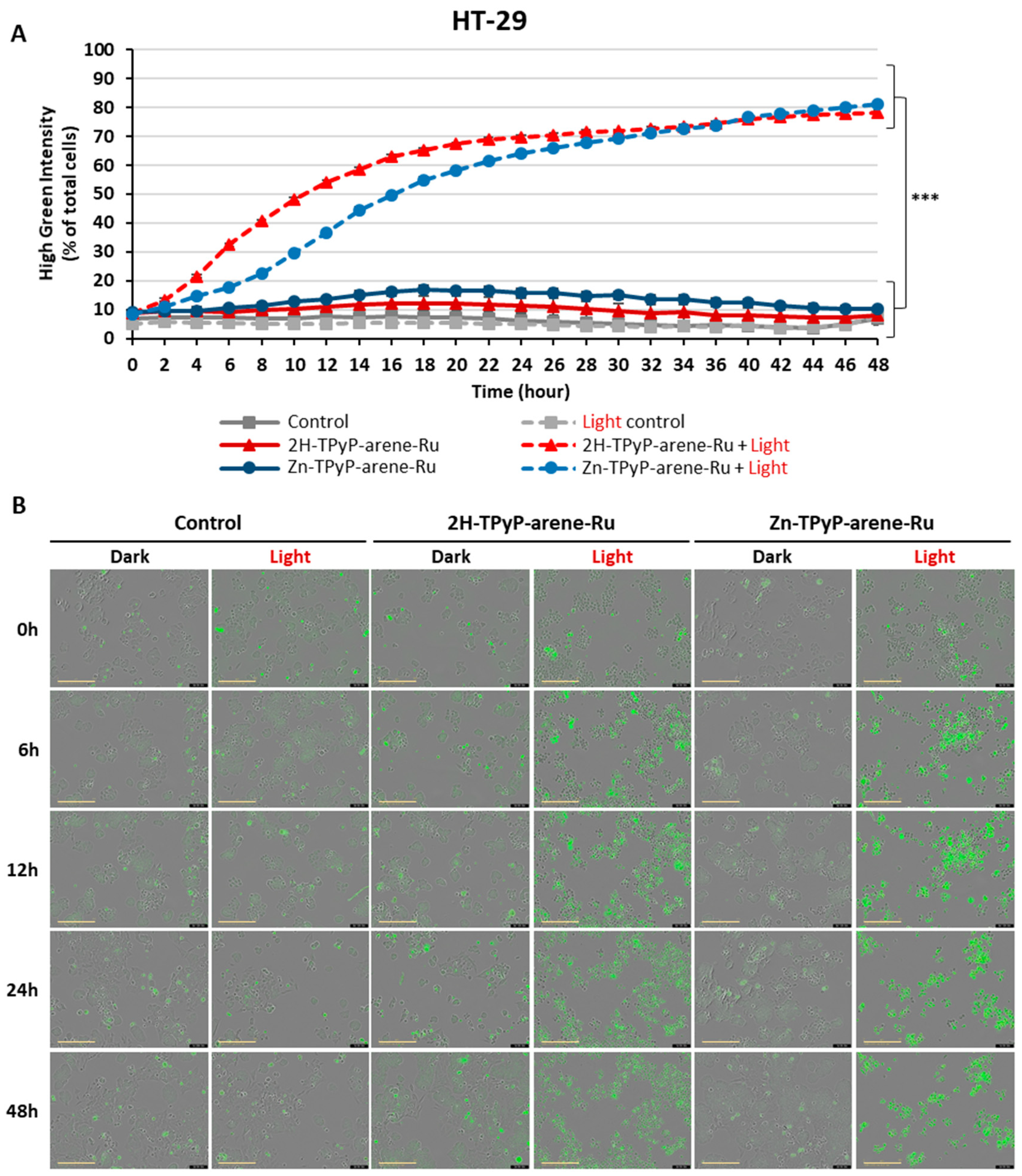Inorganics 11 00451 g011