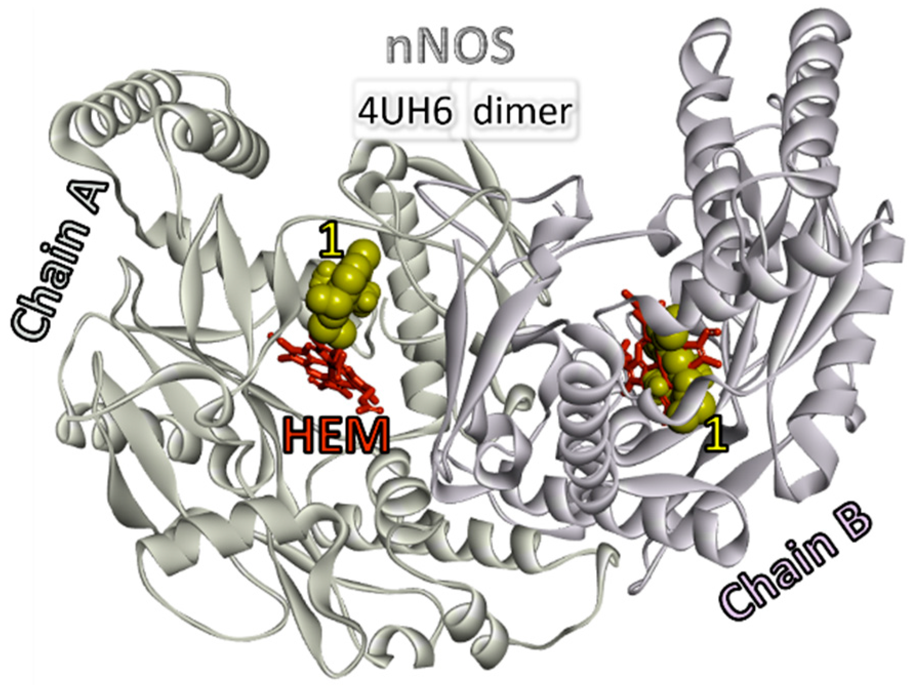 Inorganics 11 00466 g004