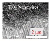 Inorganics 11 00484 i001