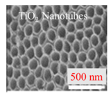 Inorganics 11 00484 i002