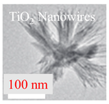 Inorganics 11 00484 i003