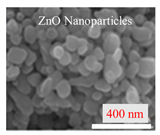 Inorganics 11 00484 i004