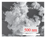 Inorganics 11 00484 i005