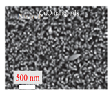 Inorganics 11 00484 i010