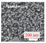 Inorganics 11 00484 i011